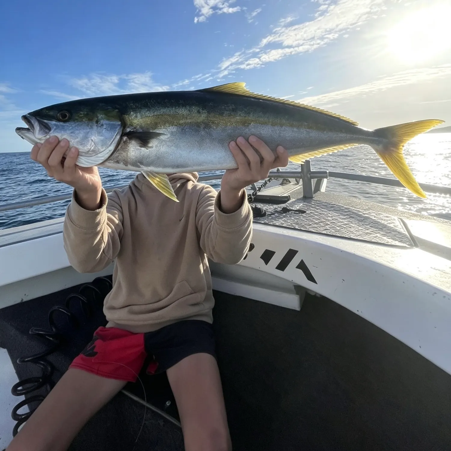 Southern yellowtail amberjack caught on Fishbrain