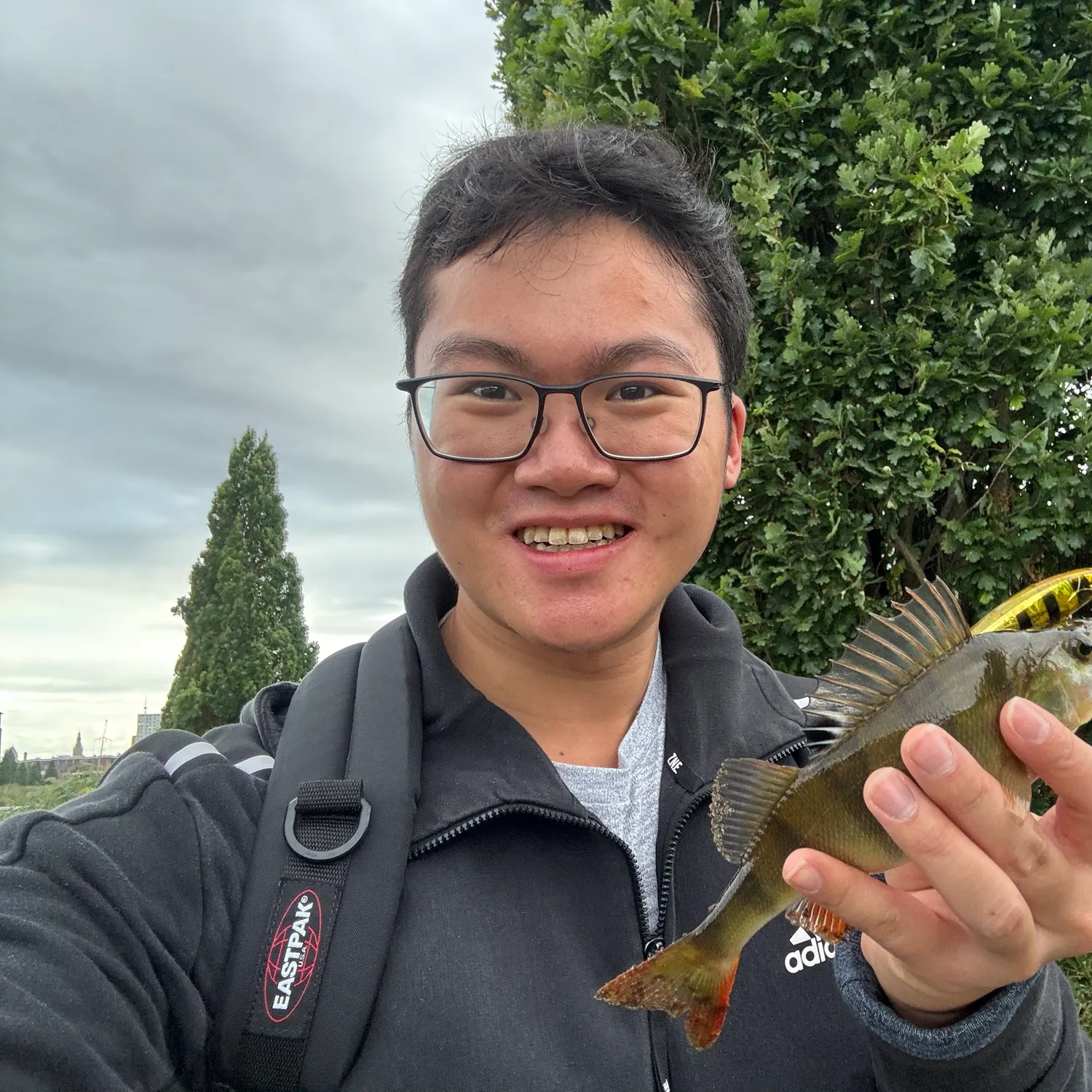 European perch caught on Fishbrain