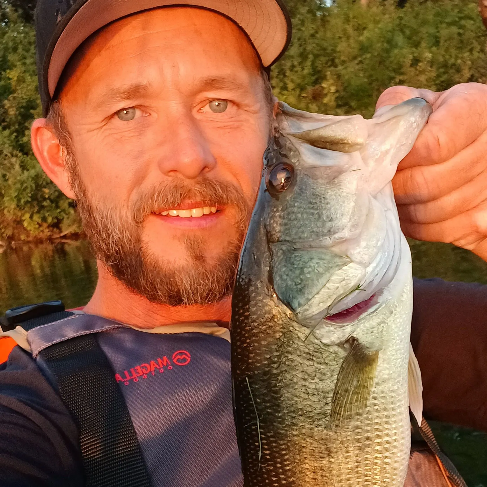 Largemouth bass caught on Fishbrain