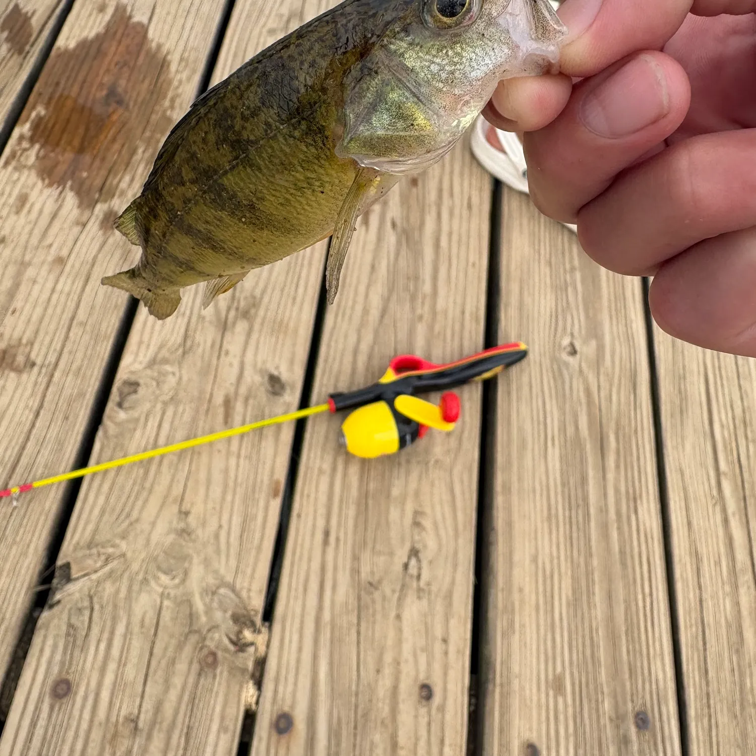 catch
