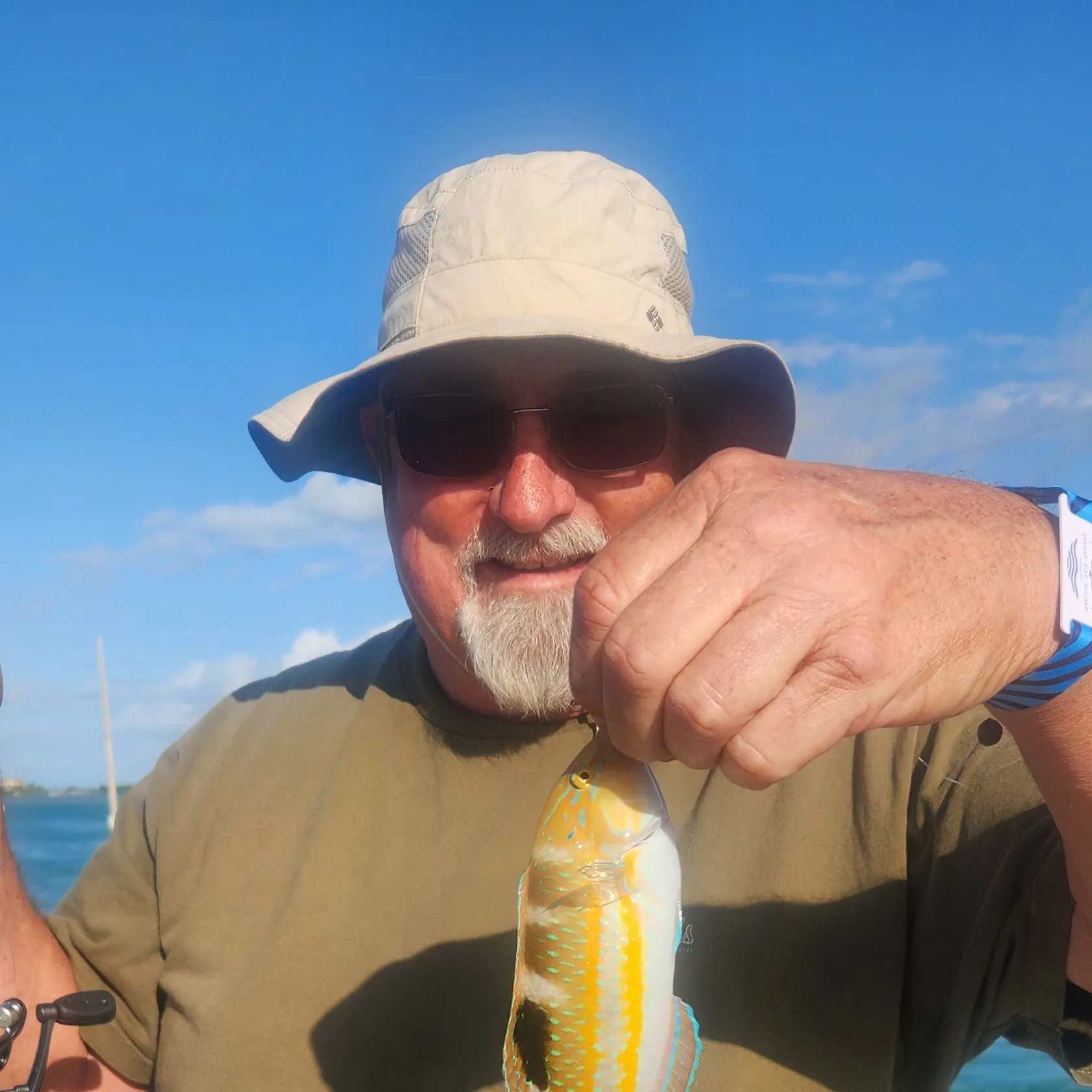 The most recent Yellowcheek wrasse catches on Fishbrain