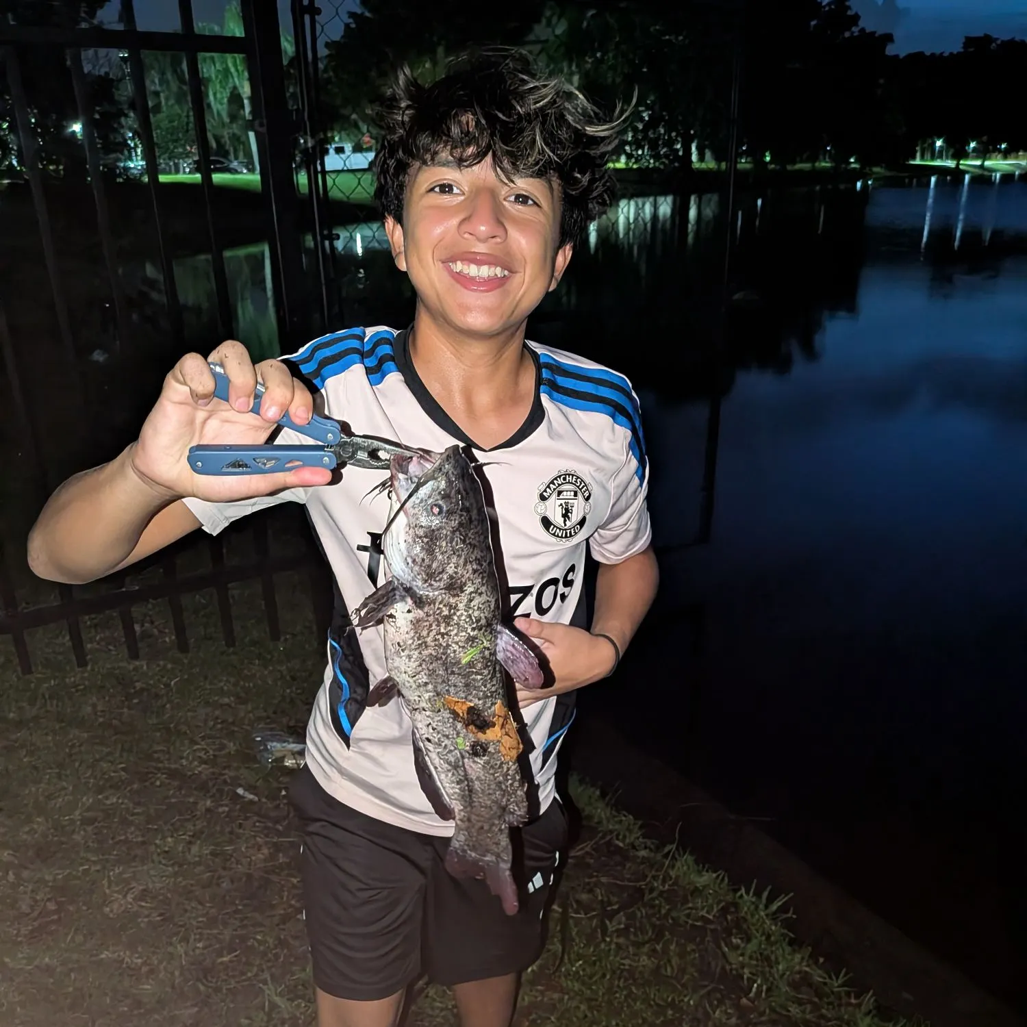 Brown bullhead caught on Fishbrain