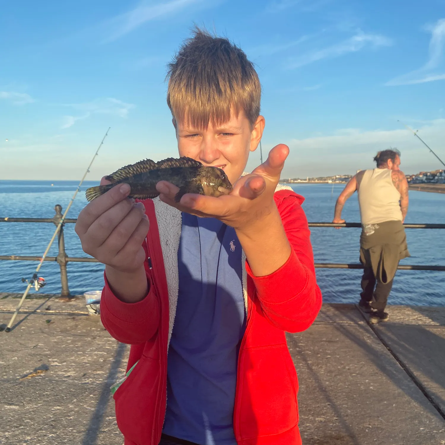 The most recent Tompot blenny catches on Fishbrain