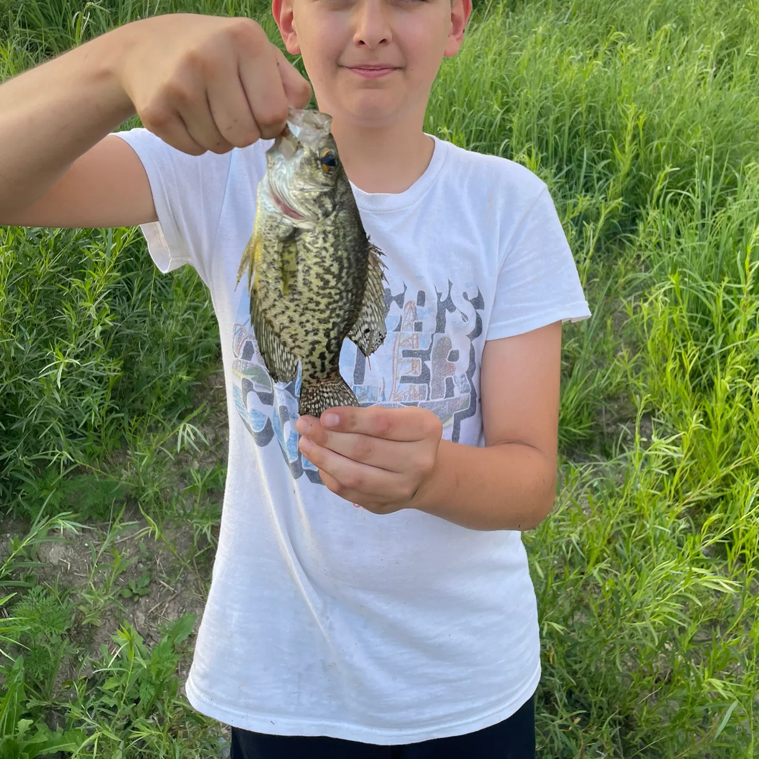 Black crappie caught on Fishbrain