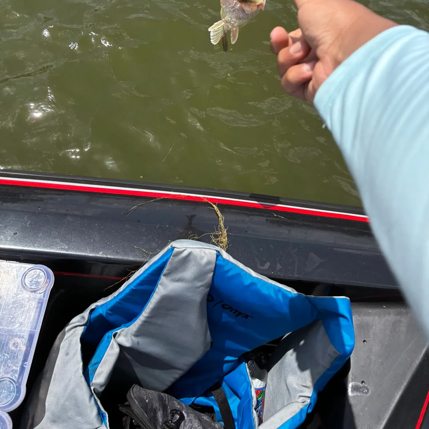 catch
