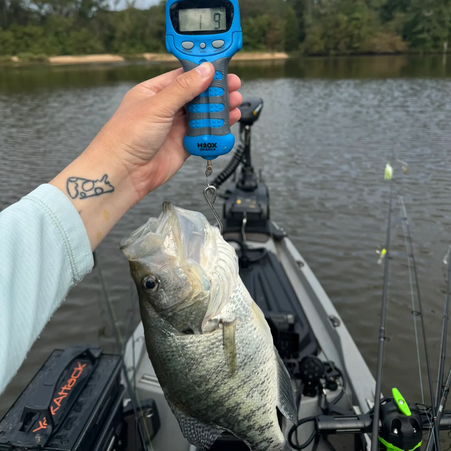 recently logged catches