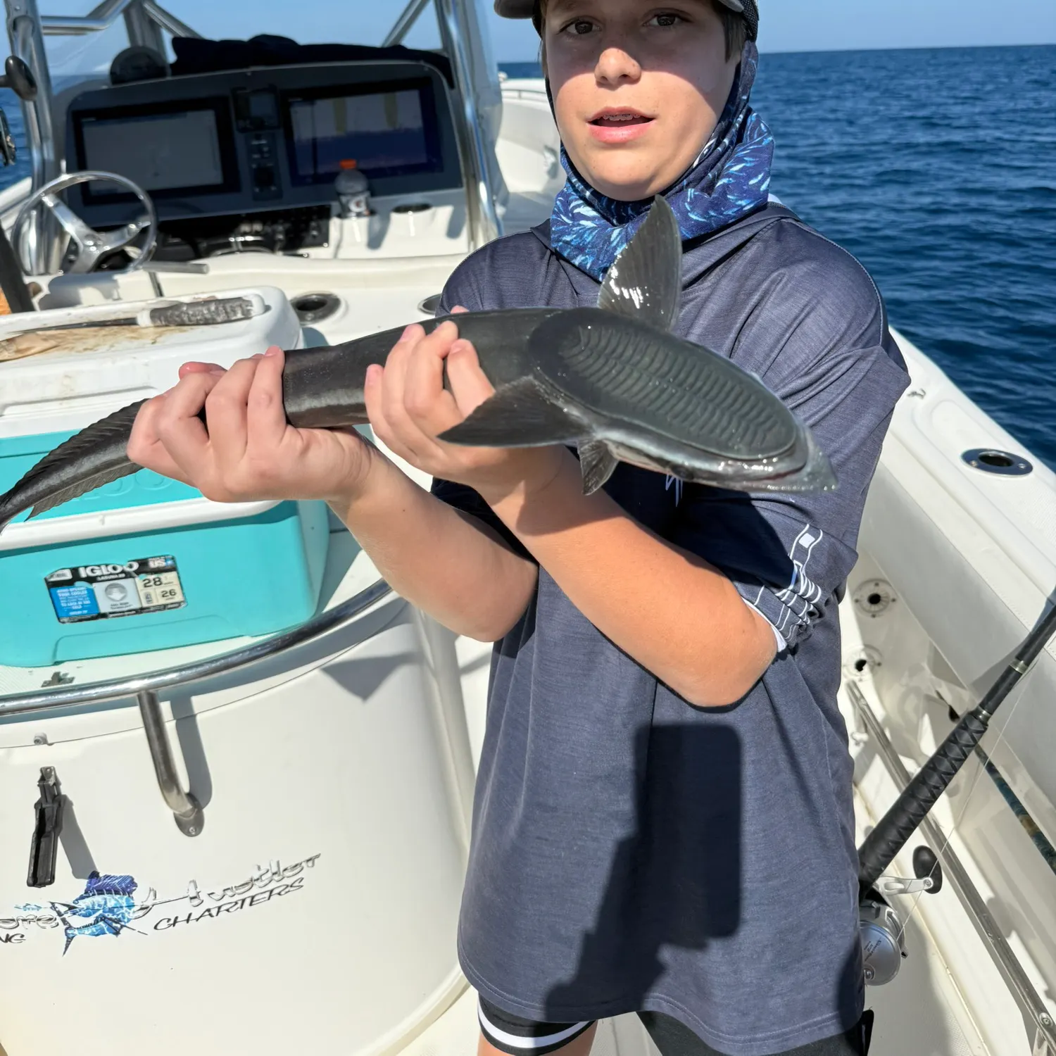 The most recent Common remora catches on Fishbrain