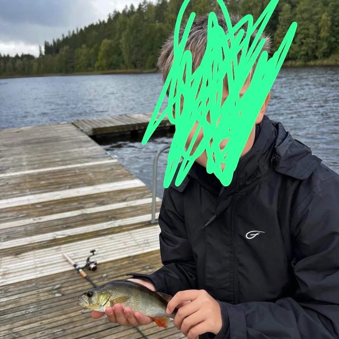 European perch caught on Fishbrain