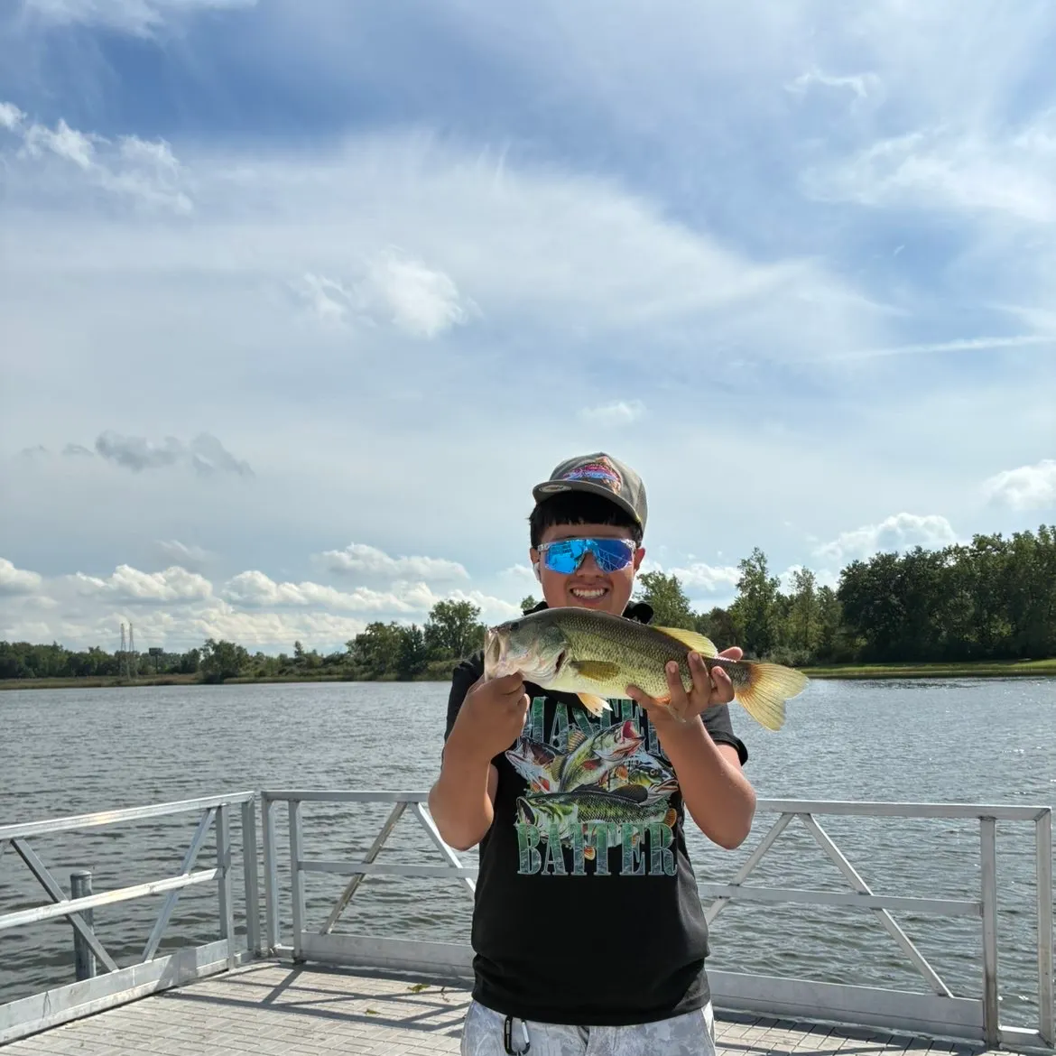 Largemouth bass caught on Fishbrain
