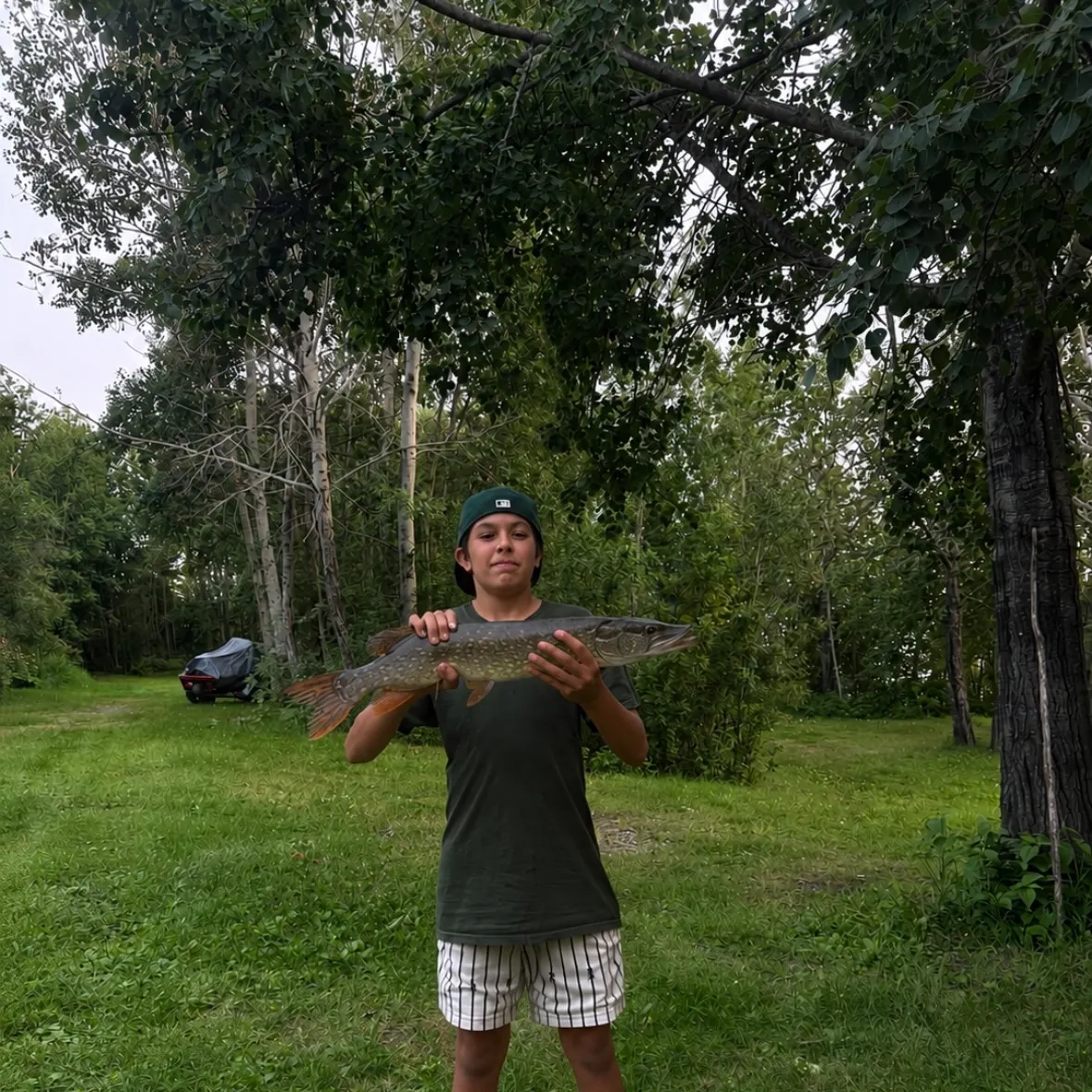 Northern pike caught on Fishbrain
