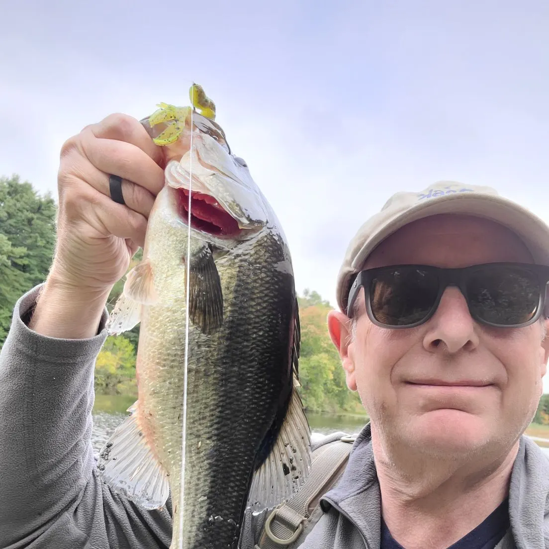Largemouth bass caught on Fishbrain