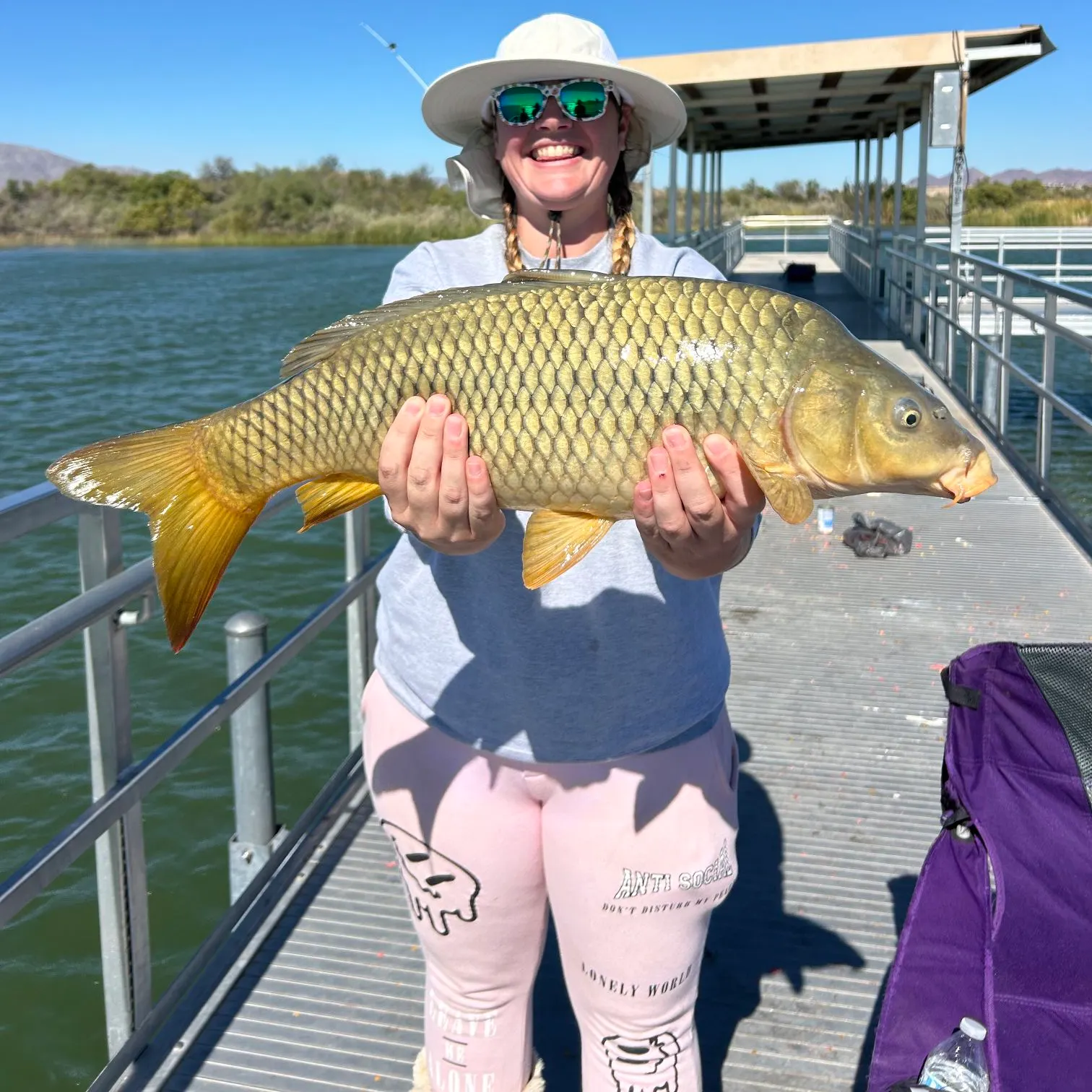 Common carp caught on Fishbrain