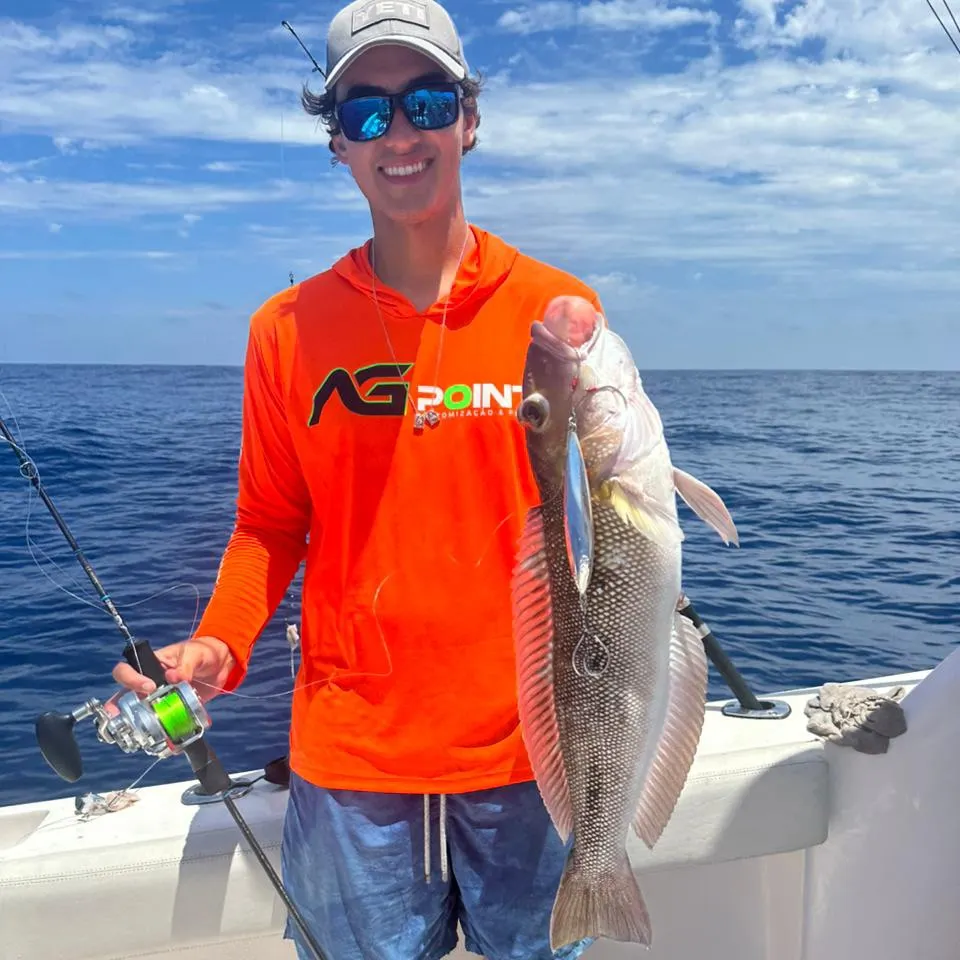 The most recent Argentinian sandperch catches on Fishbrain