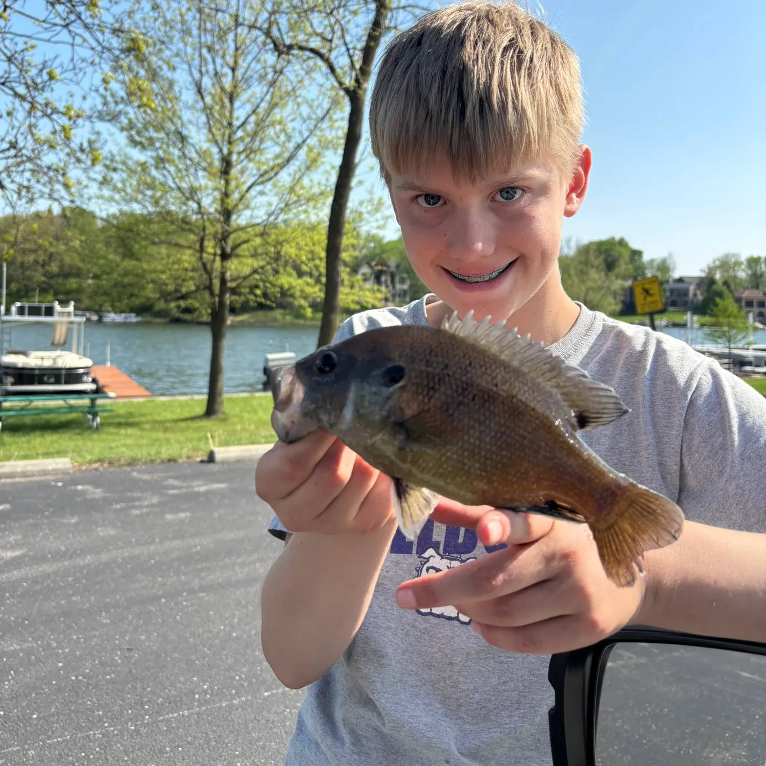 The most recent Green sunfish catches on Fishbrain