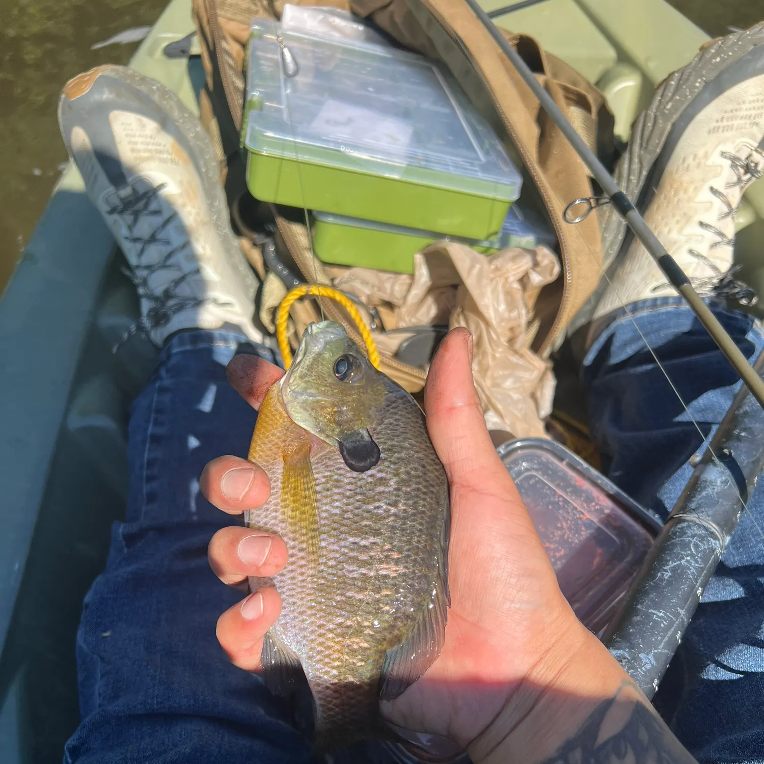 catch