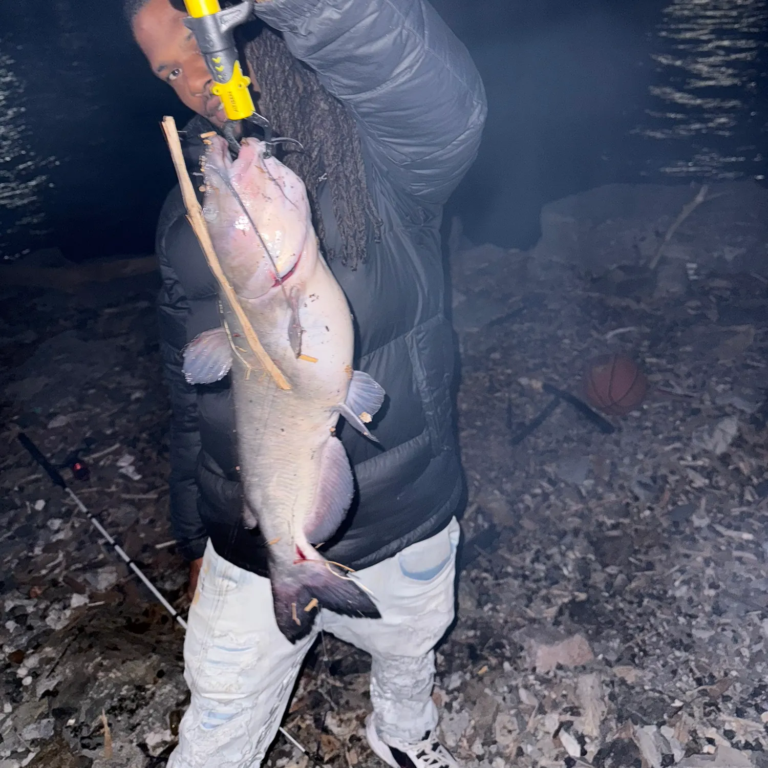The most recent Channel catfish catches on Fishbrain