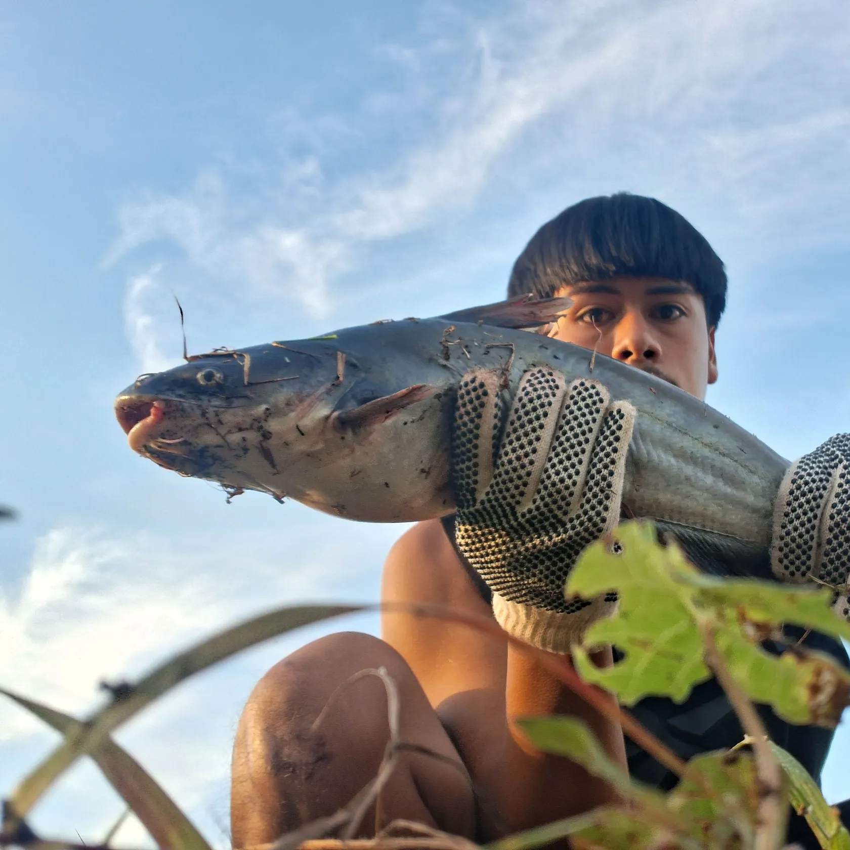 Blue catfish caught on Fishbrain