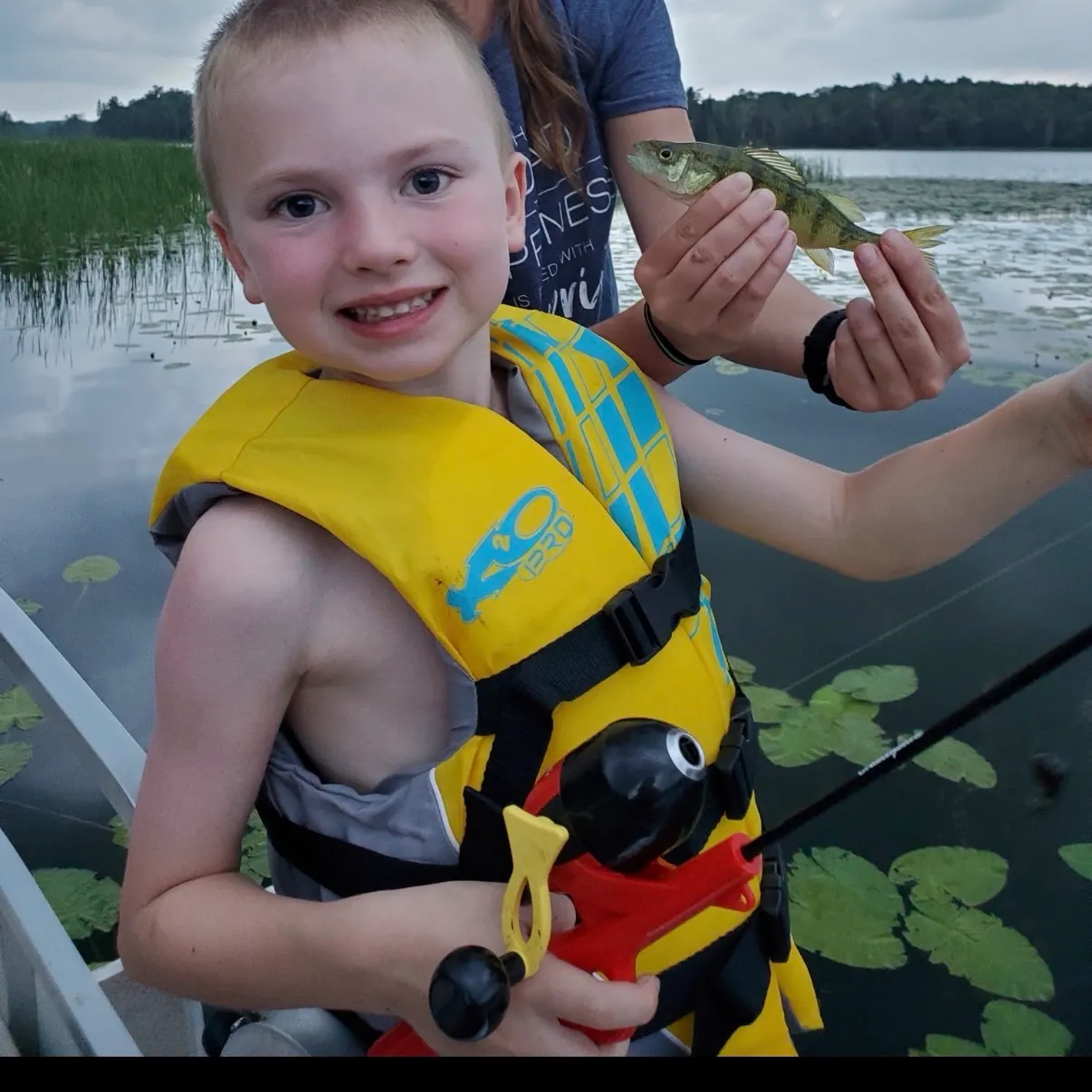 Yellow perch caught on Fishbrain