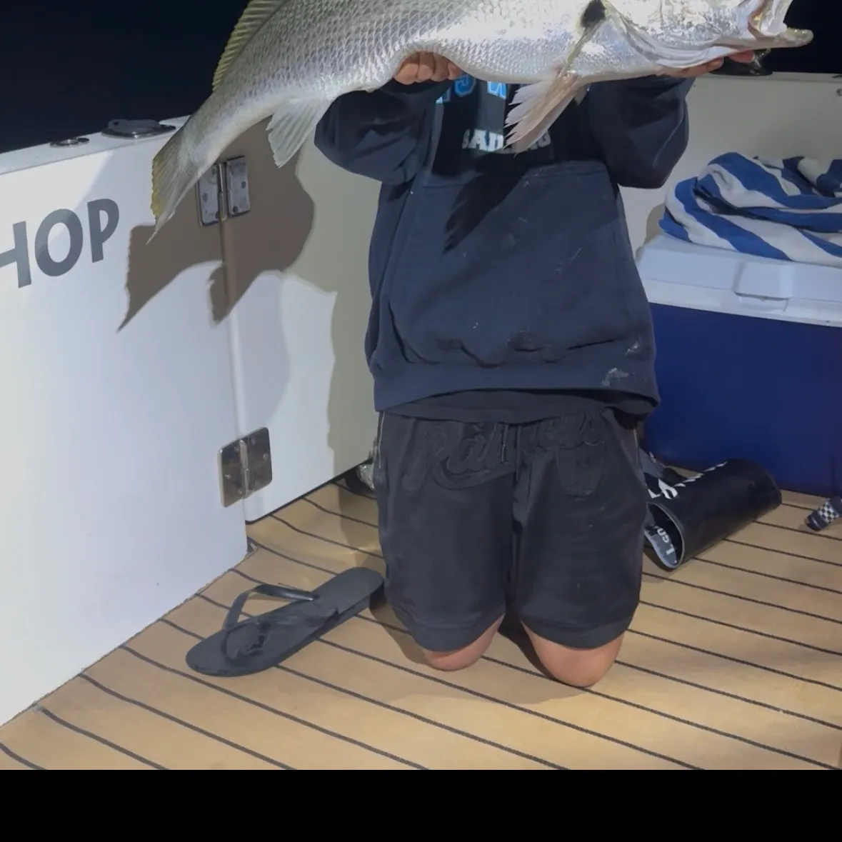 Japanese meagre caught on Fishbrain