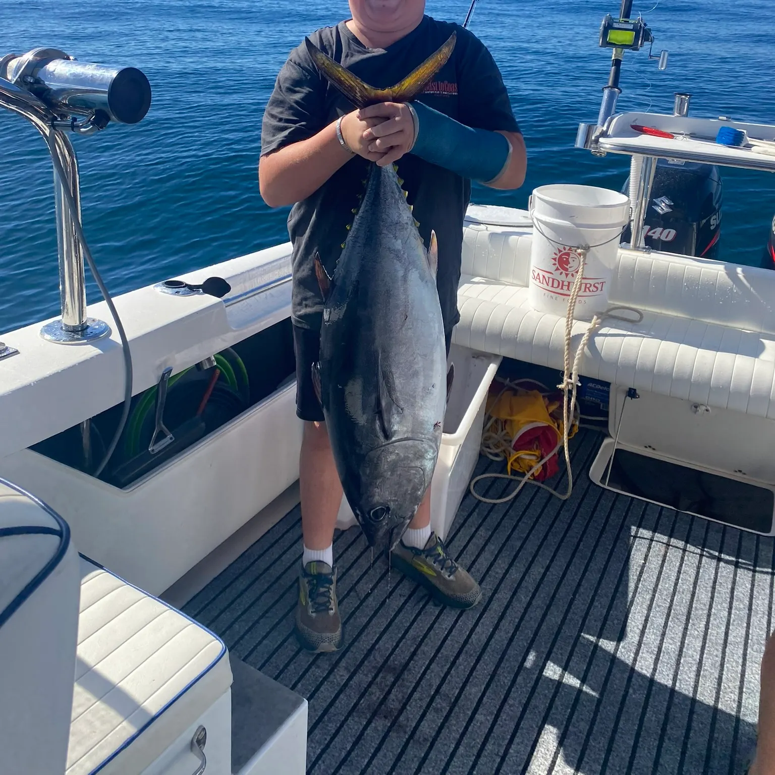 The most recent Southern bluefin tuna catches on Fishbrain