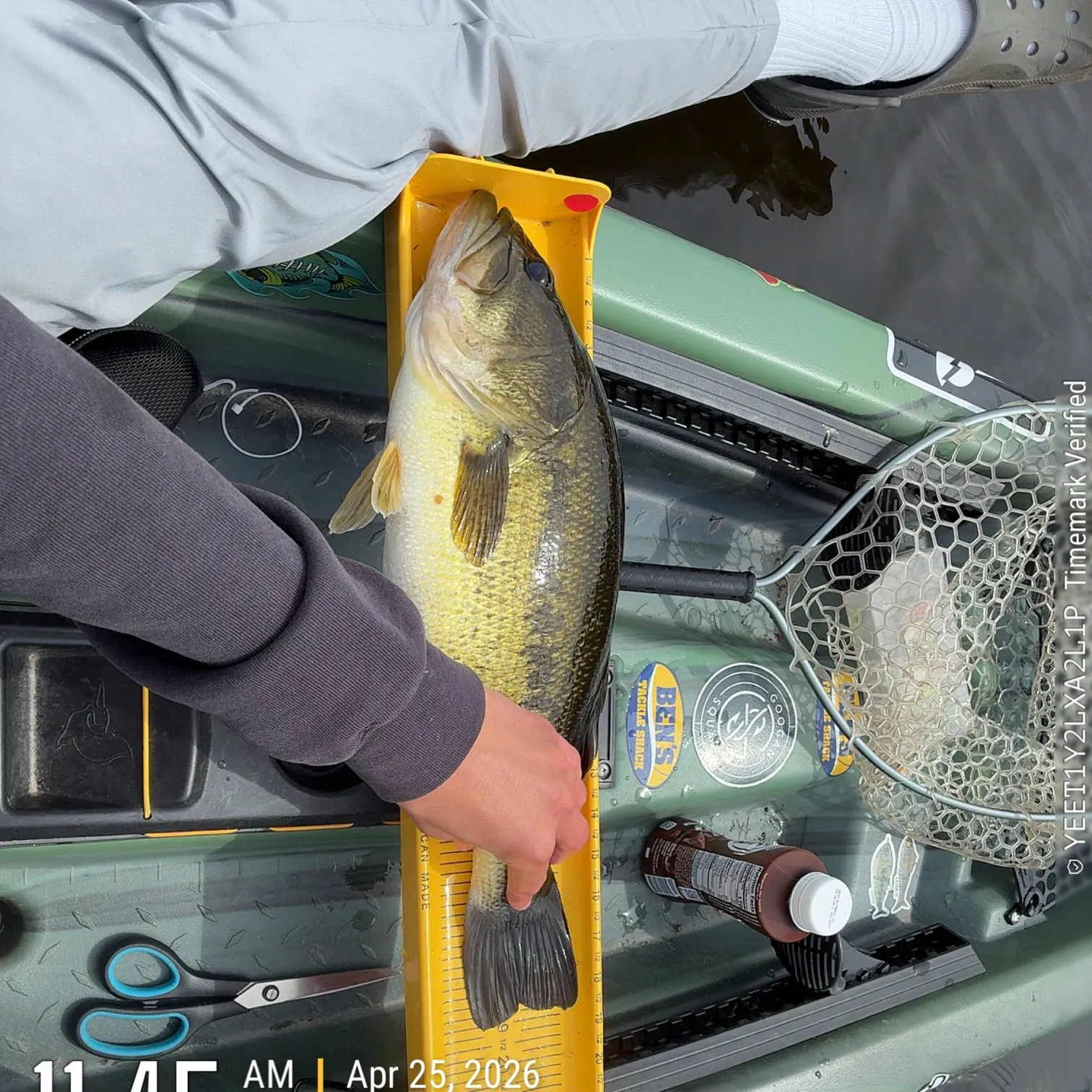 recently logged catches