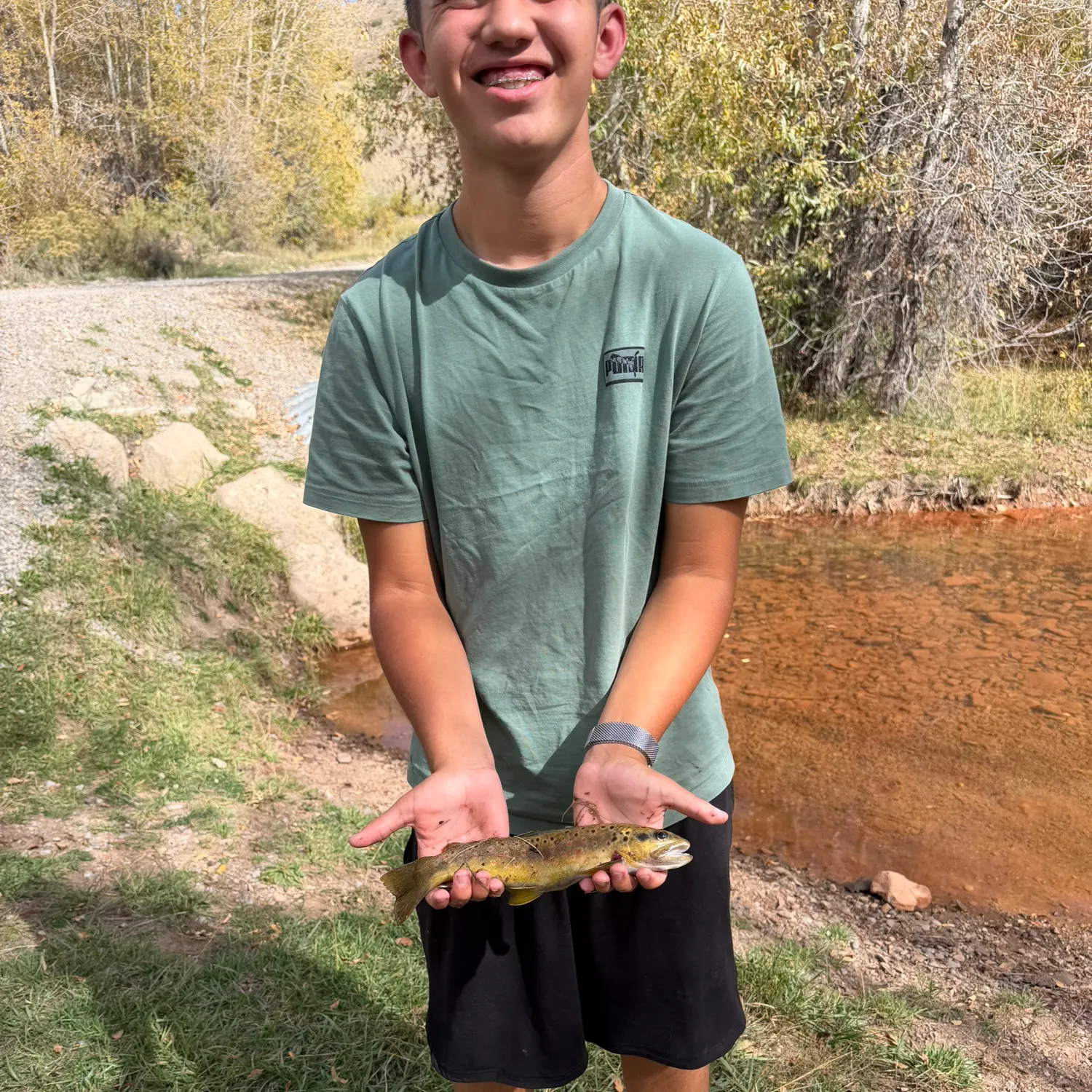 Brown trout caught on Fishbrain