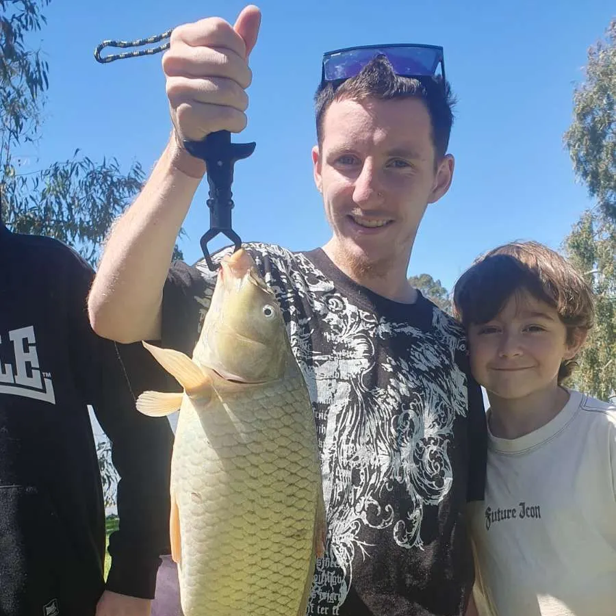 Common carp caught on Fishbrain