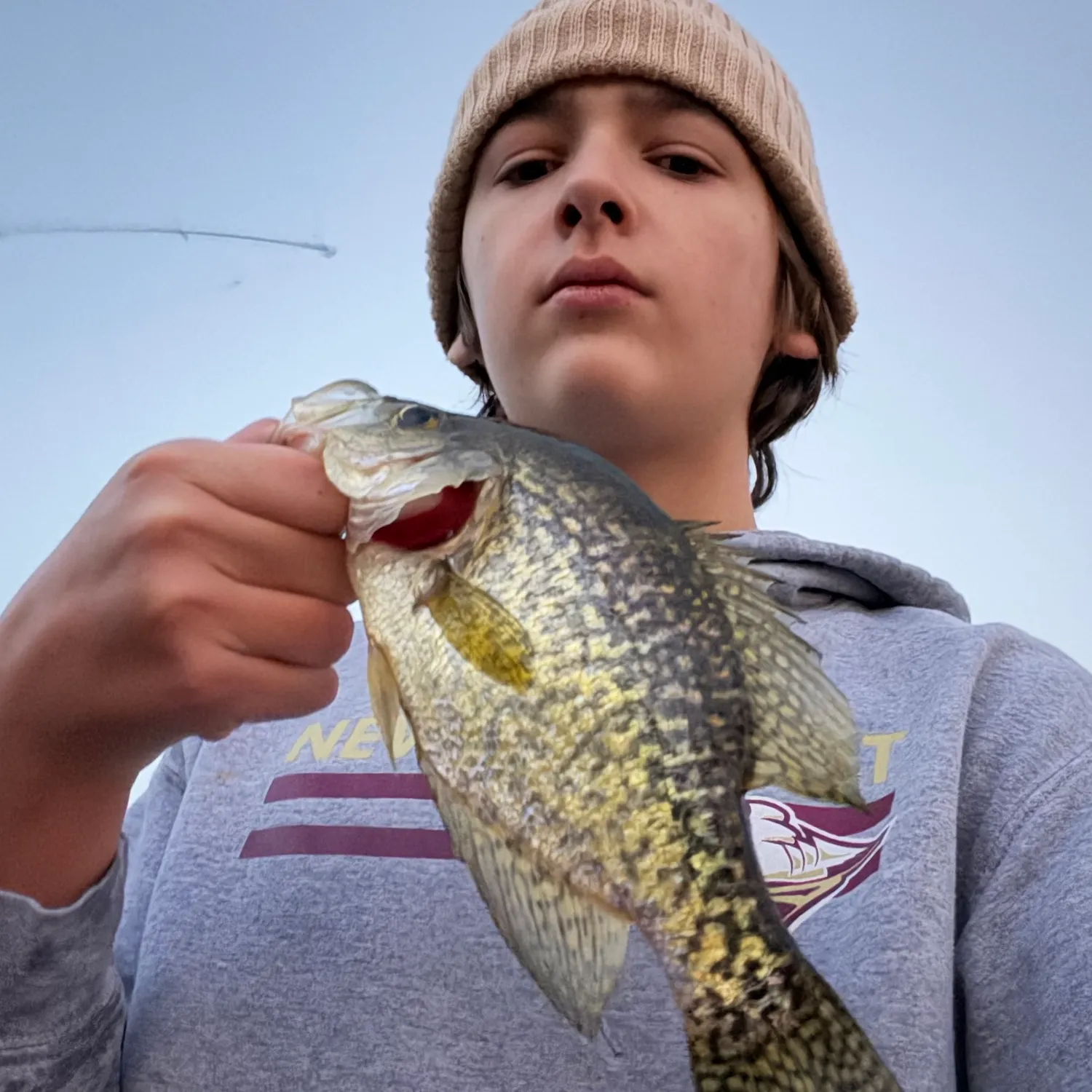 Black crappie caught on Fishbrain