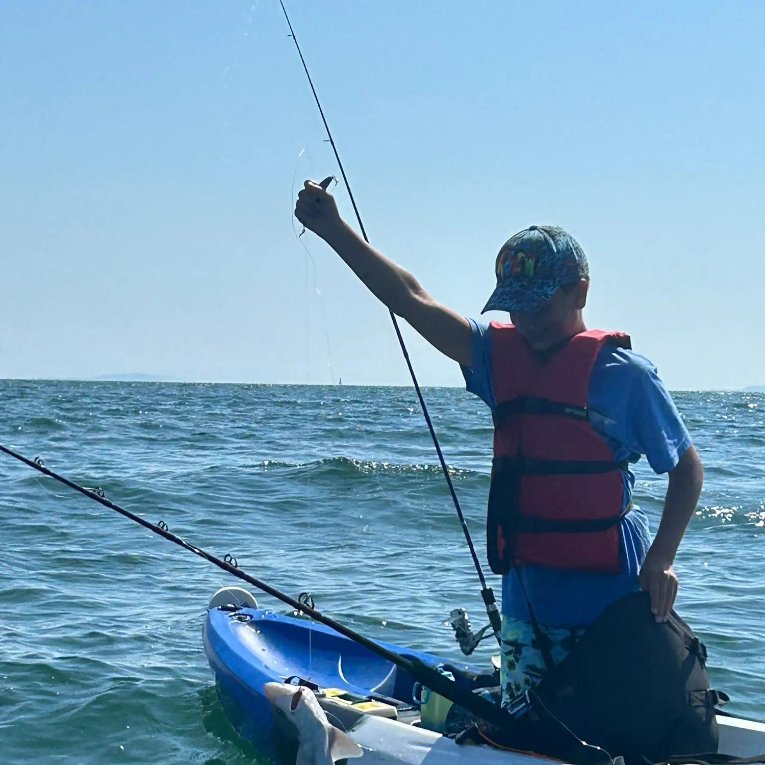 The most recent Piked dogfish catches on Fishbrain