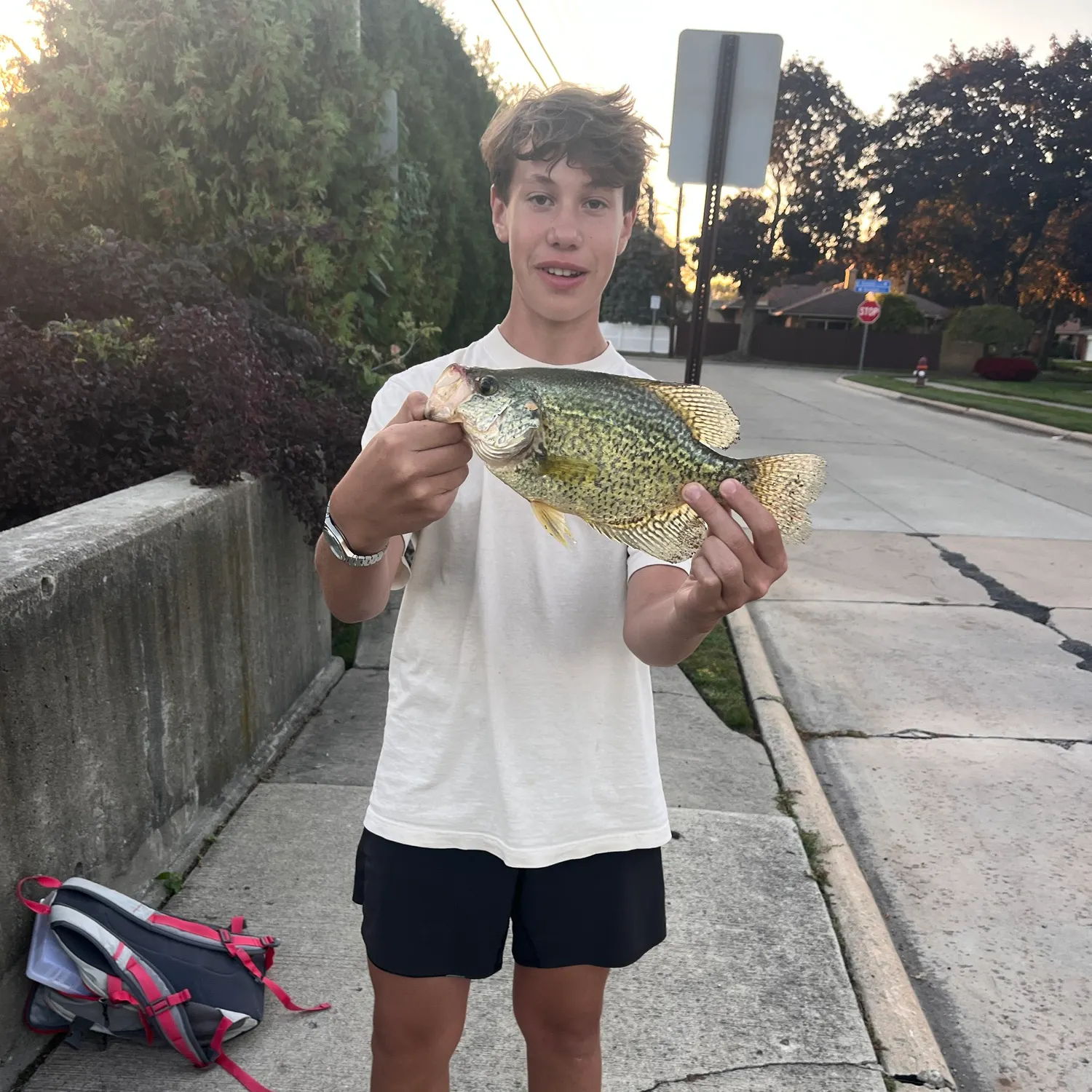 catch