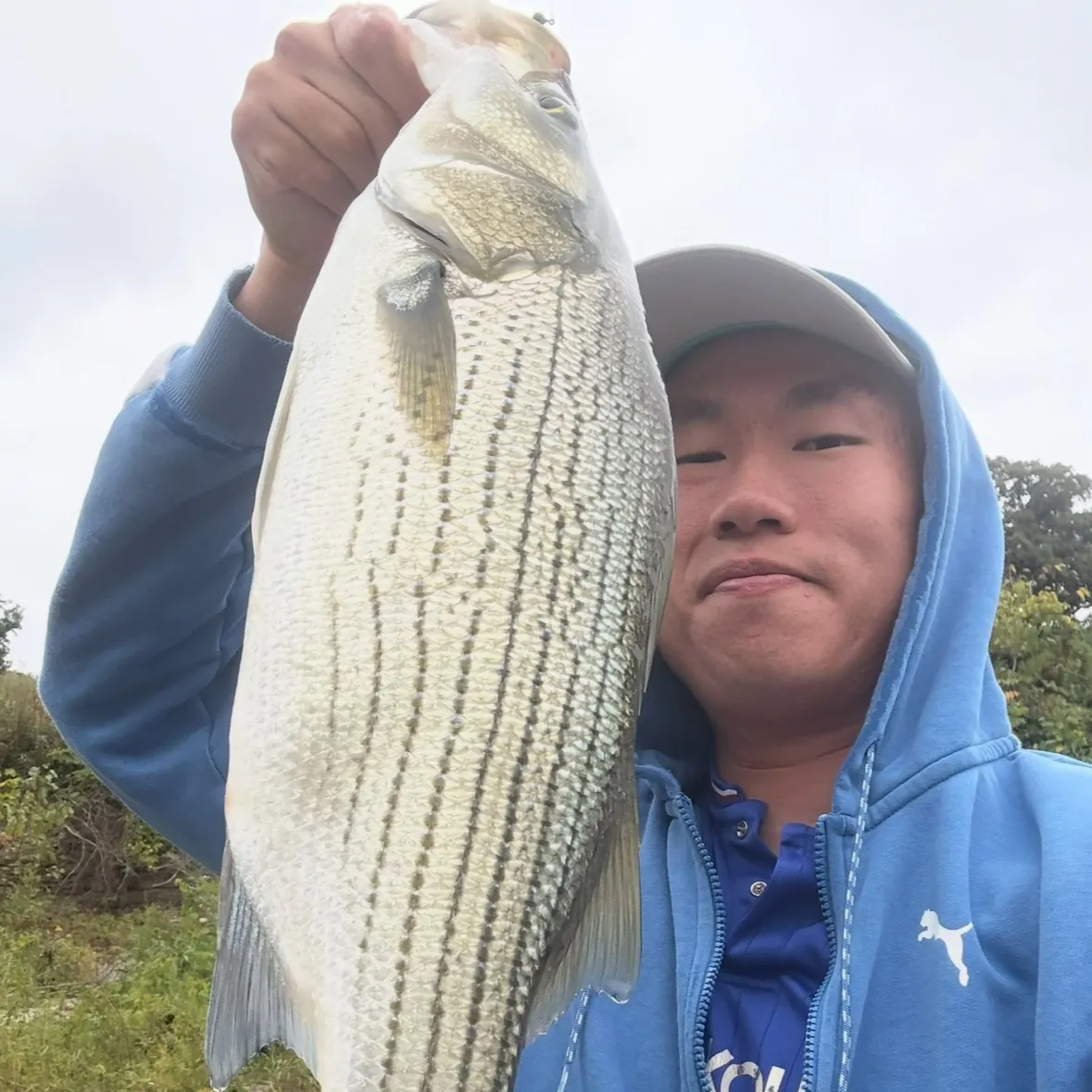 Wiper caught on Fishbrain
