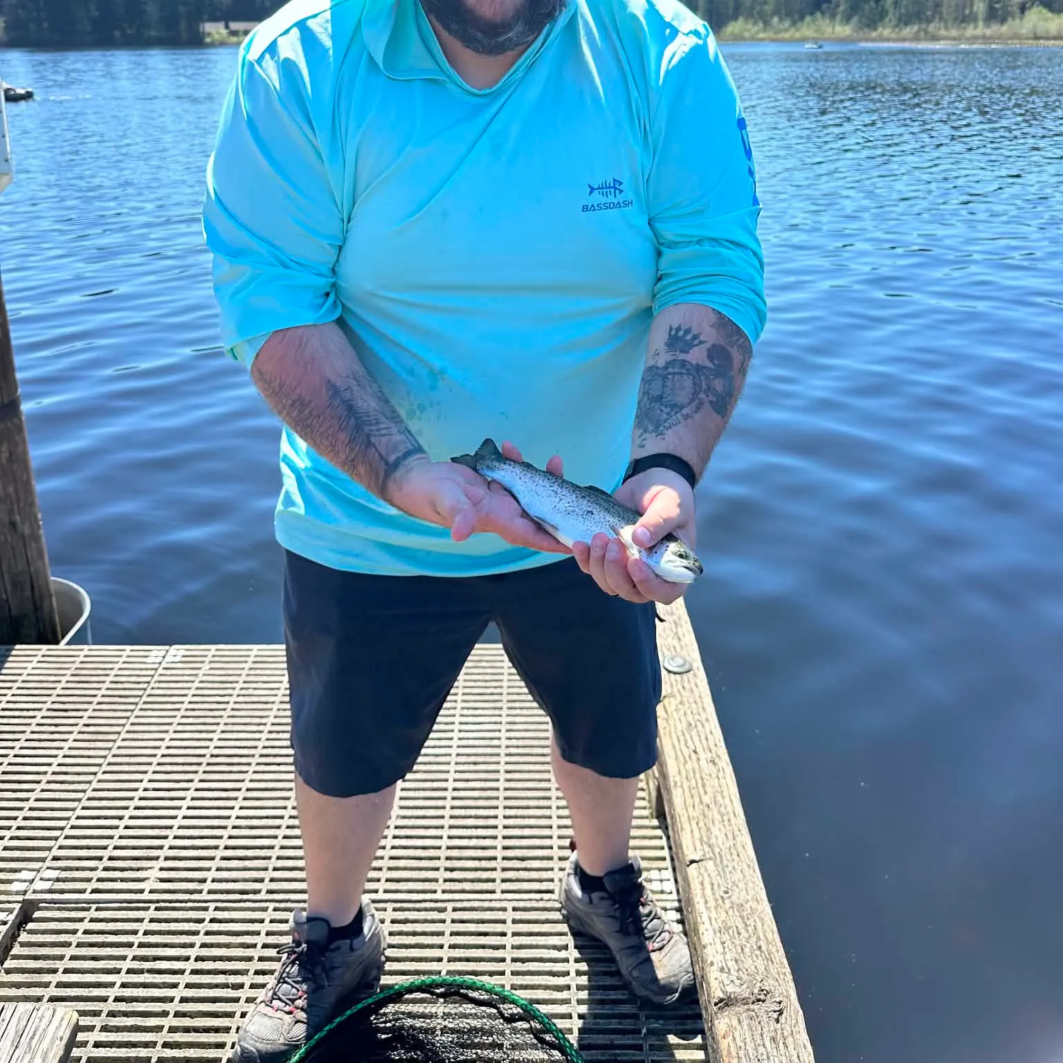 The most recent Rainbow trout catches on Fishbrain