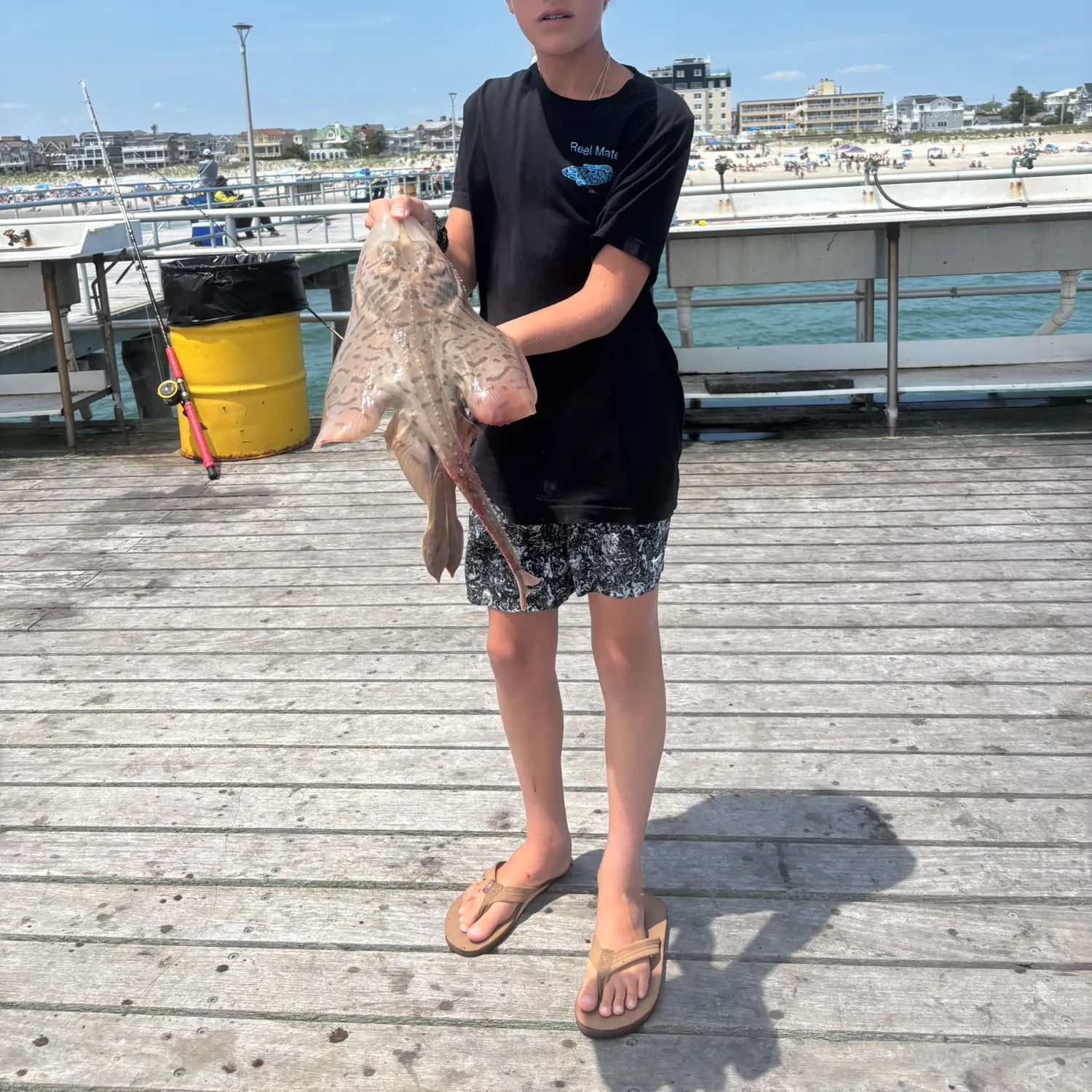 The most recent Clearnose skate catches on Fishbrain