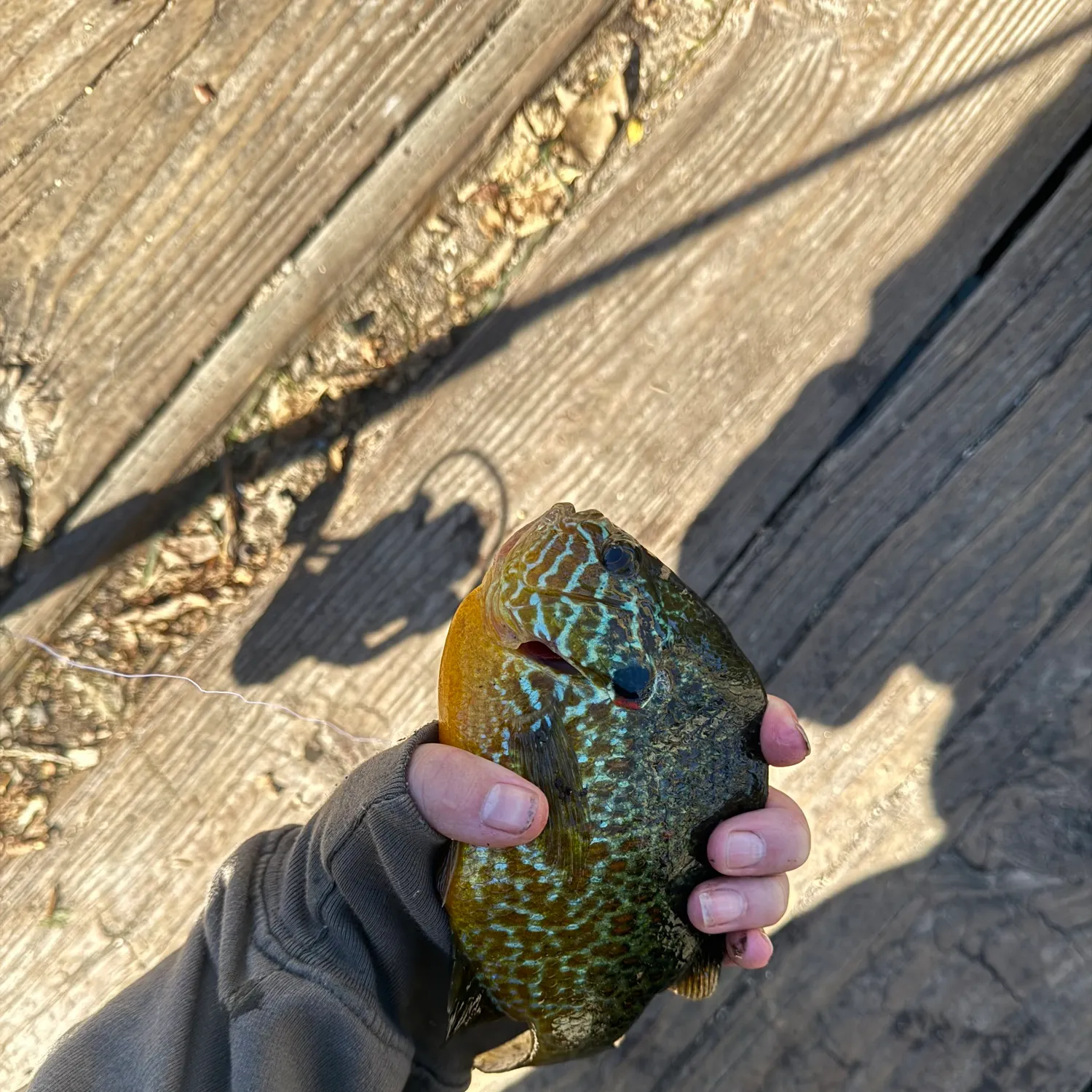 catch