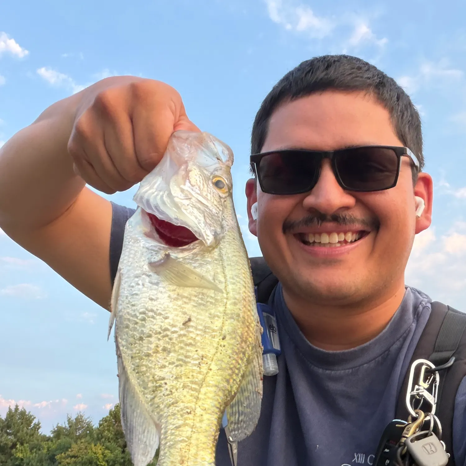 White crappie caught on Fishbrain