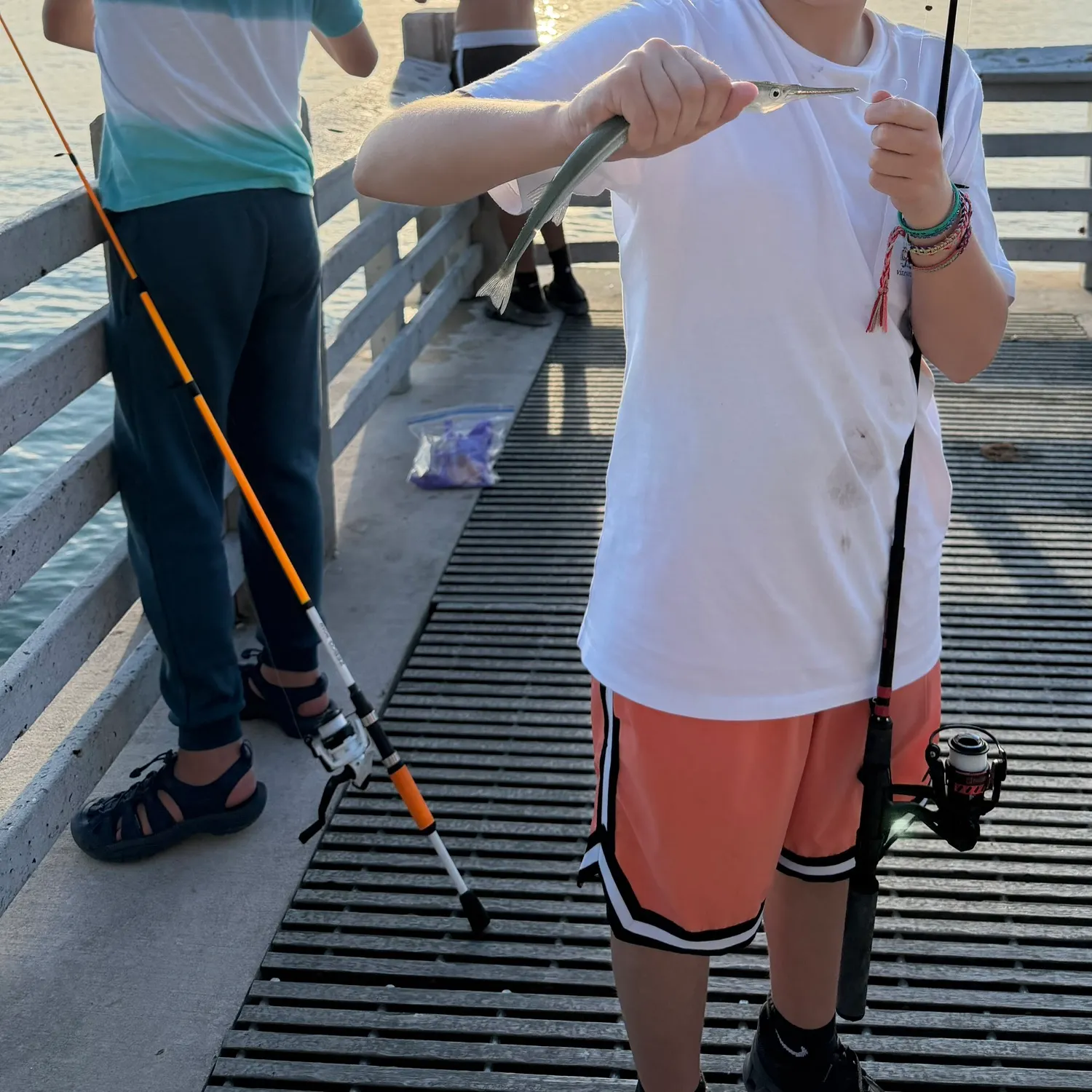 The most recent Redfin needlefish catches on Fishbrain