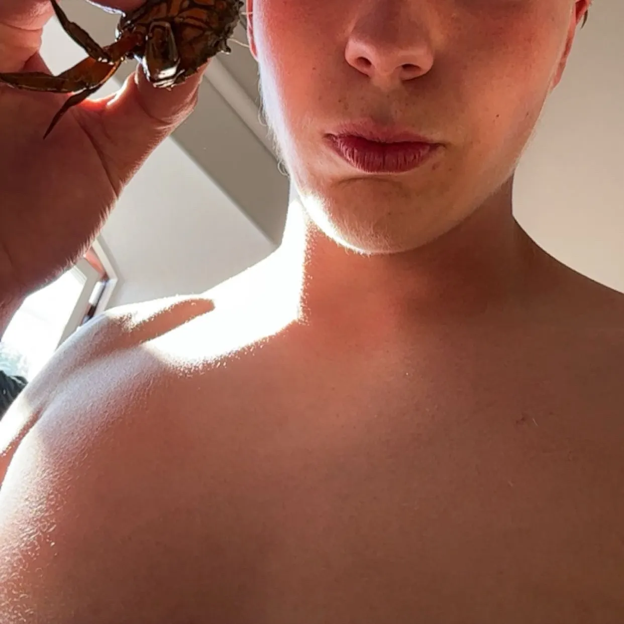 The most recent European spider crab catches on Fishbrain