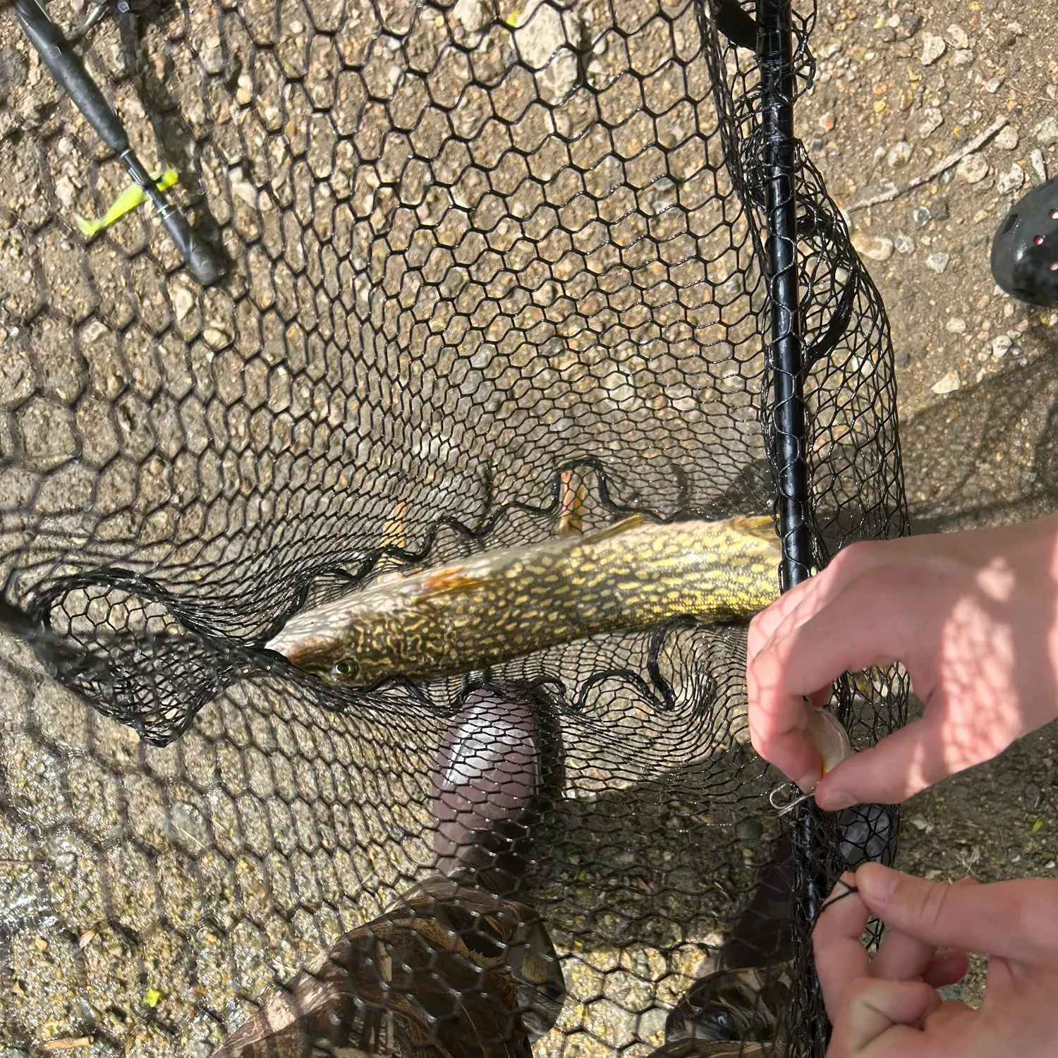 catch
