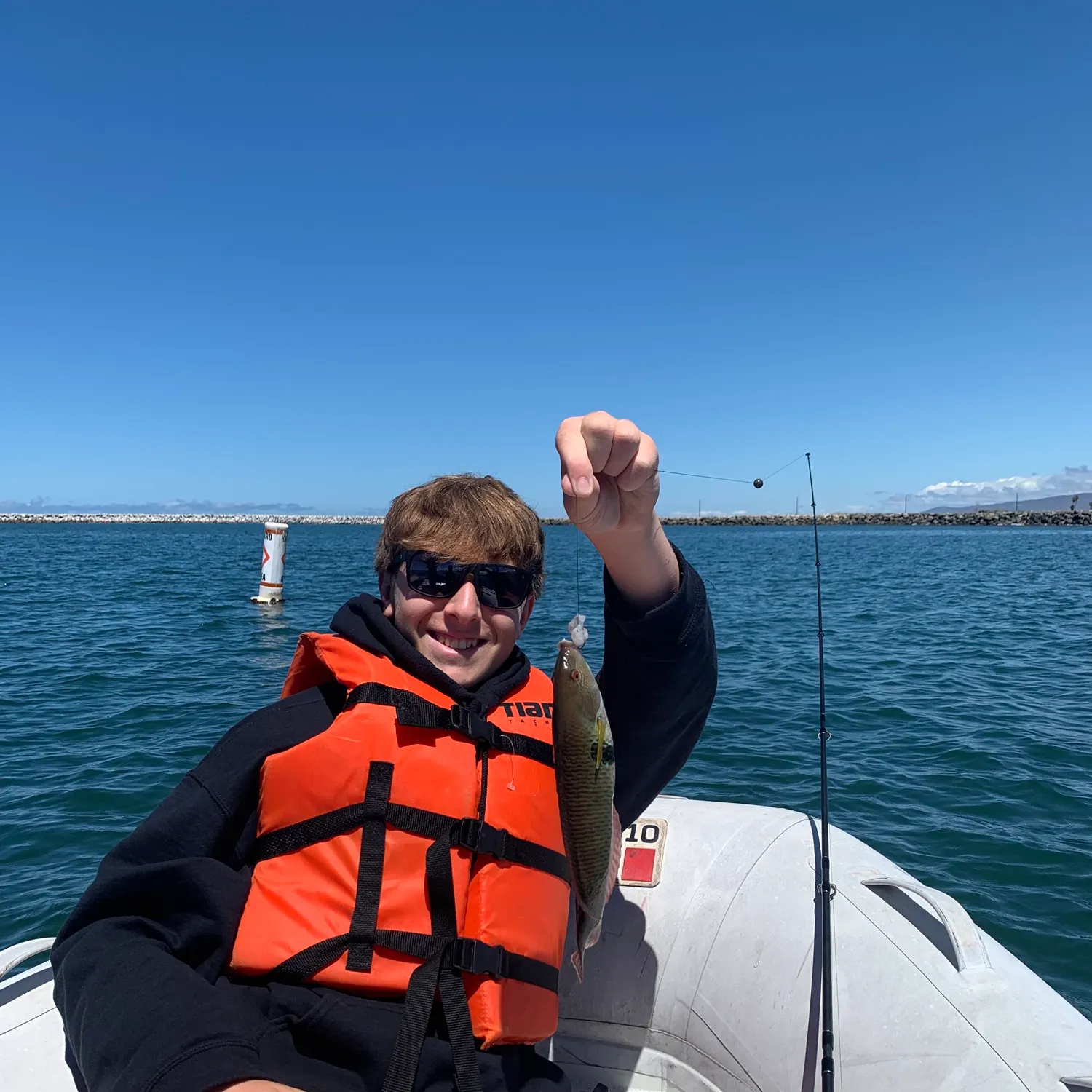 The most recent Rock wrasse catches on Fishbrain