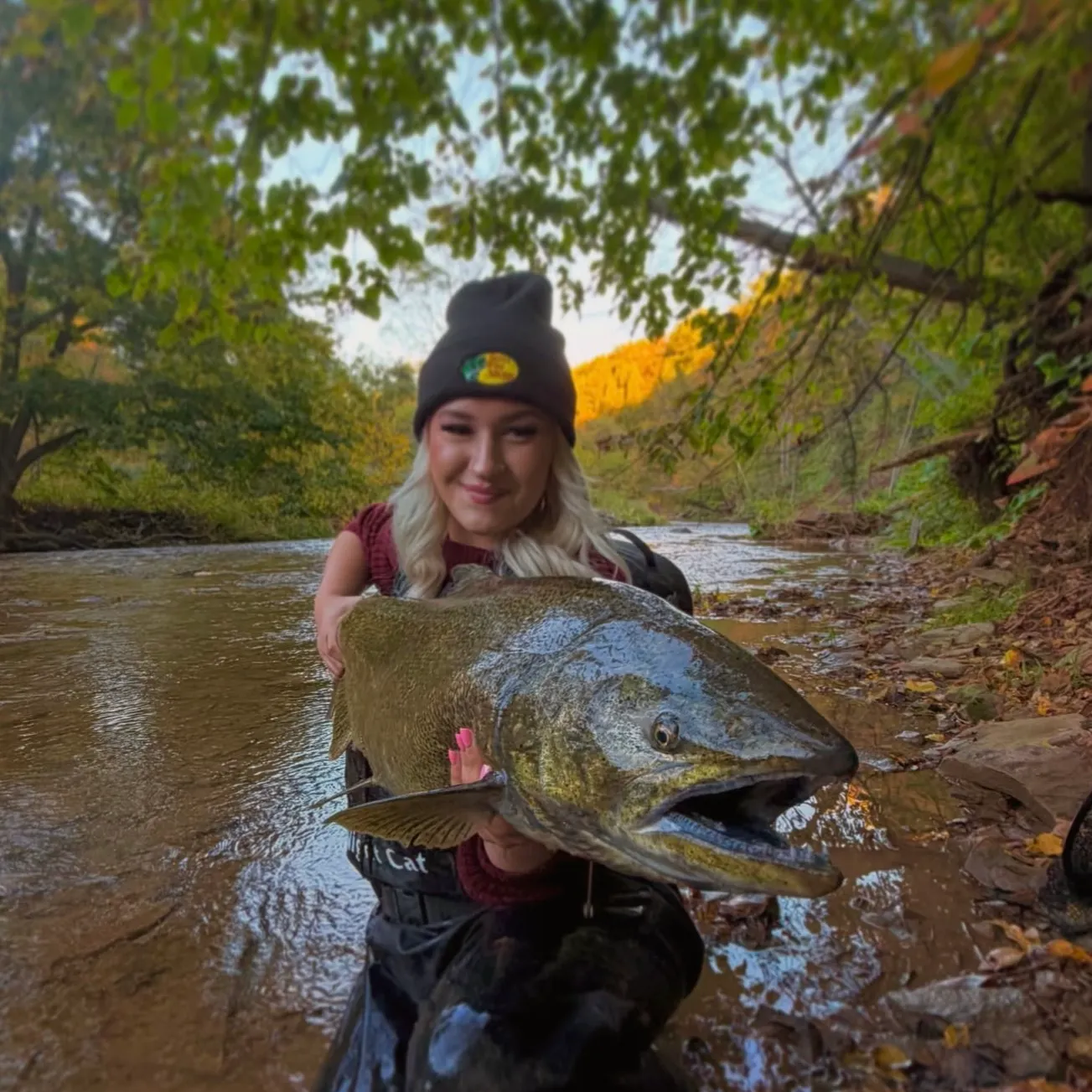 The most recent Chinook salmon catches on Fishbrain
