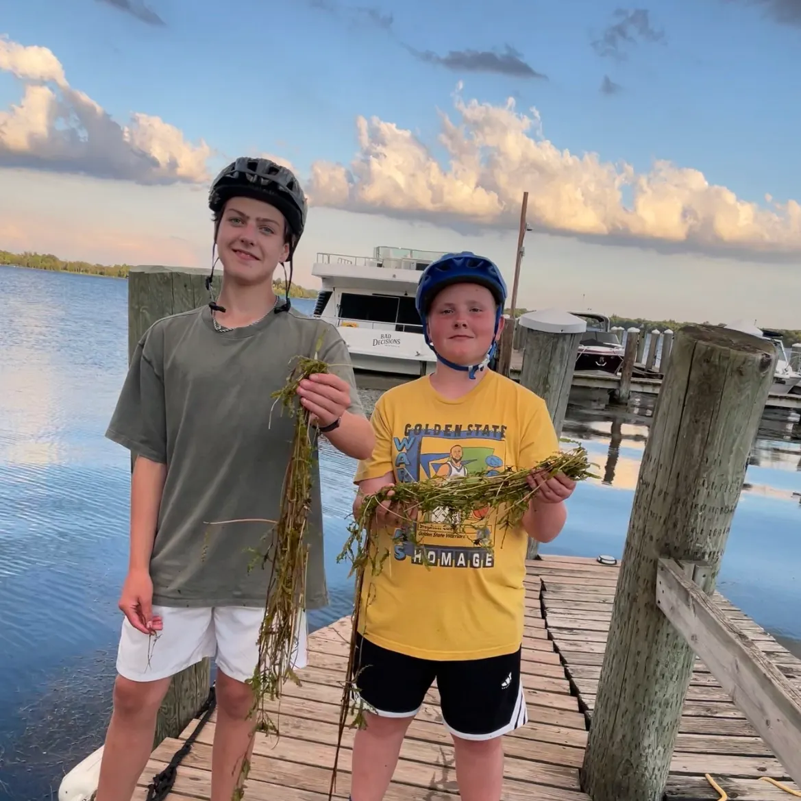 The most recent Common weedfish catches on Fishbrain