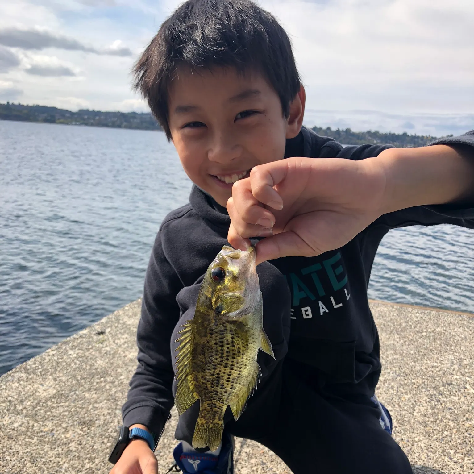 The most recent Rock bass catches on Fishbrain