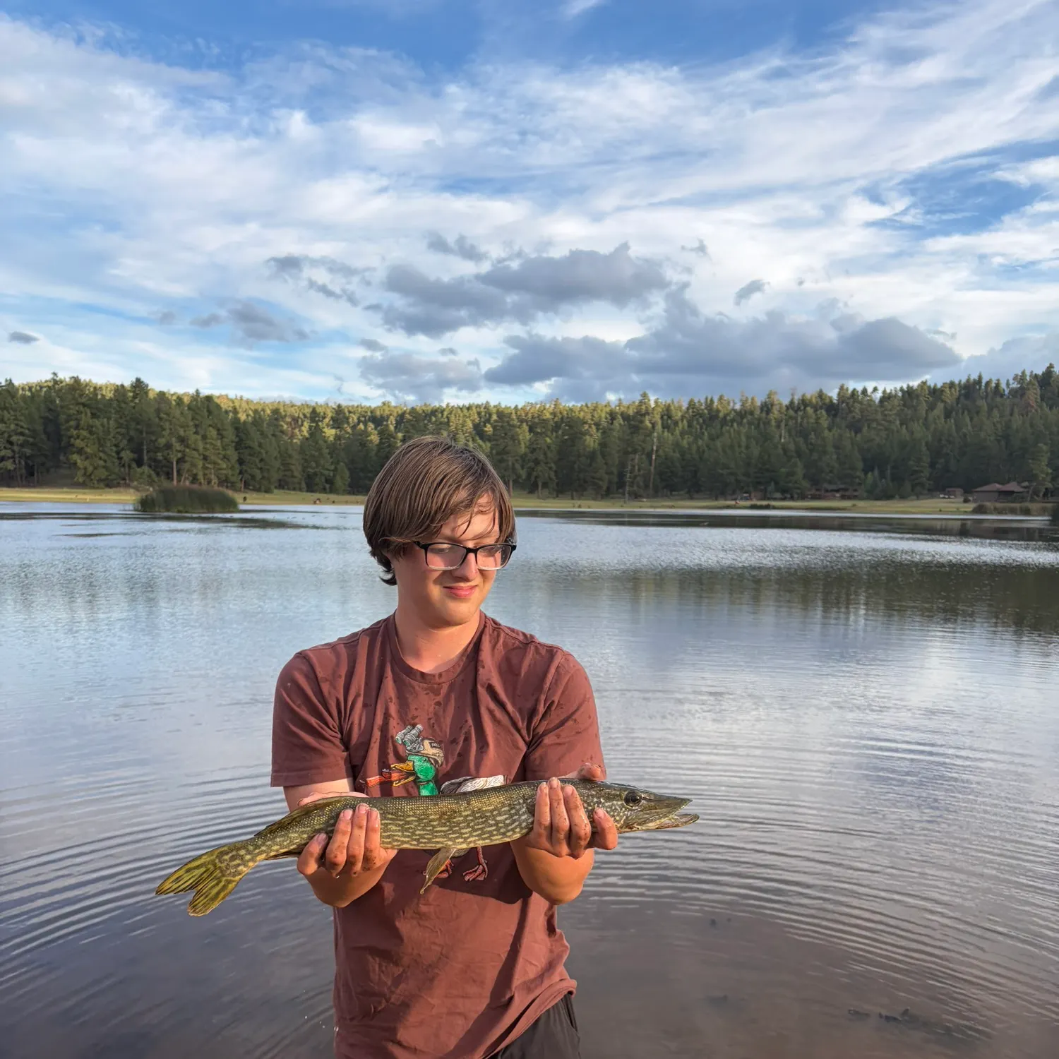 Northern pike caught on Fishbrain