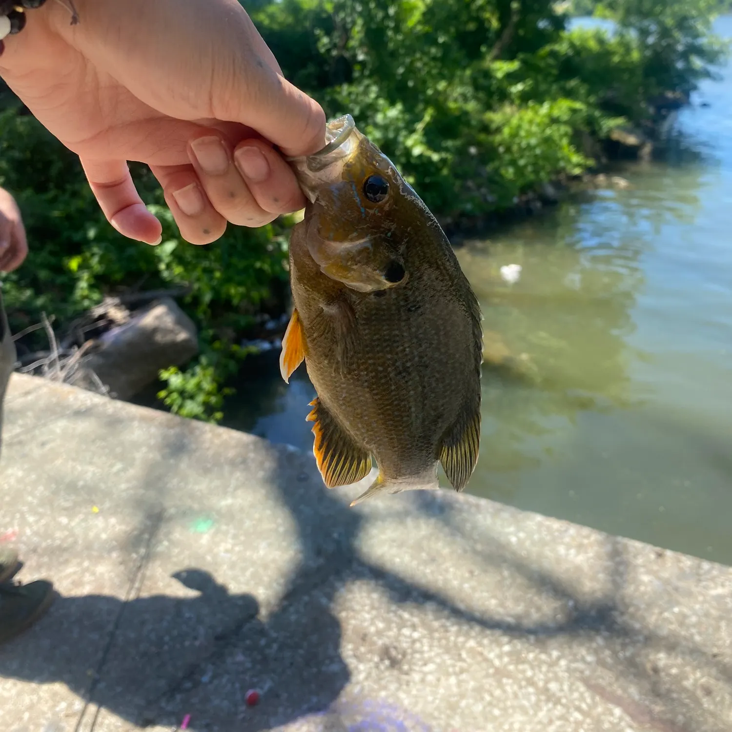 catch