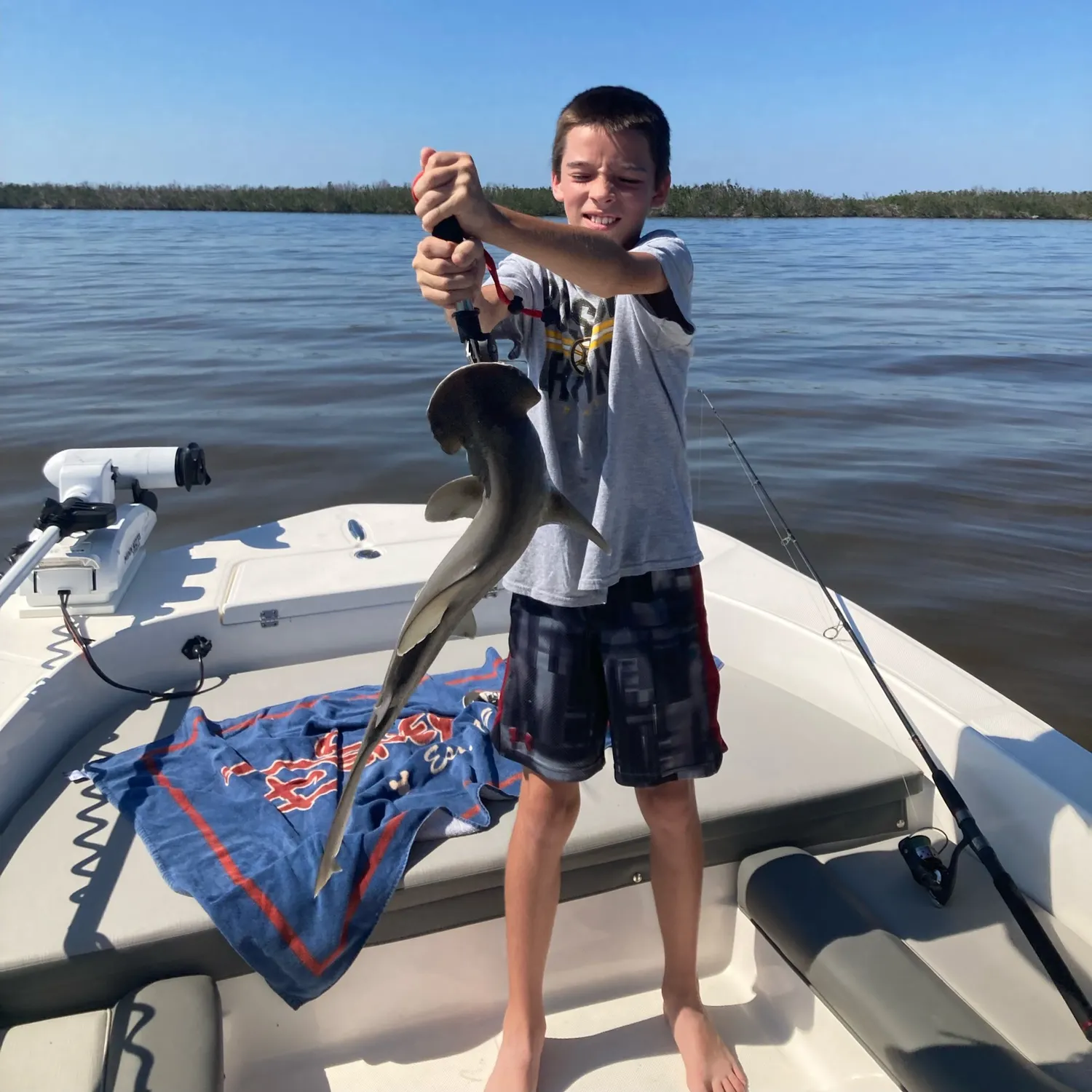 The most recent Bonnethead shark catches on Fishbrain