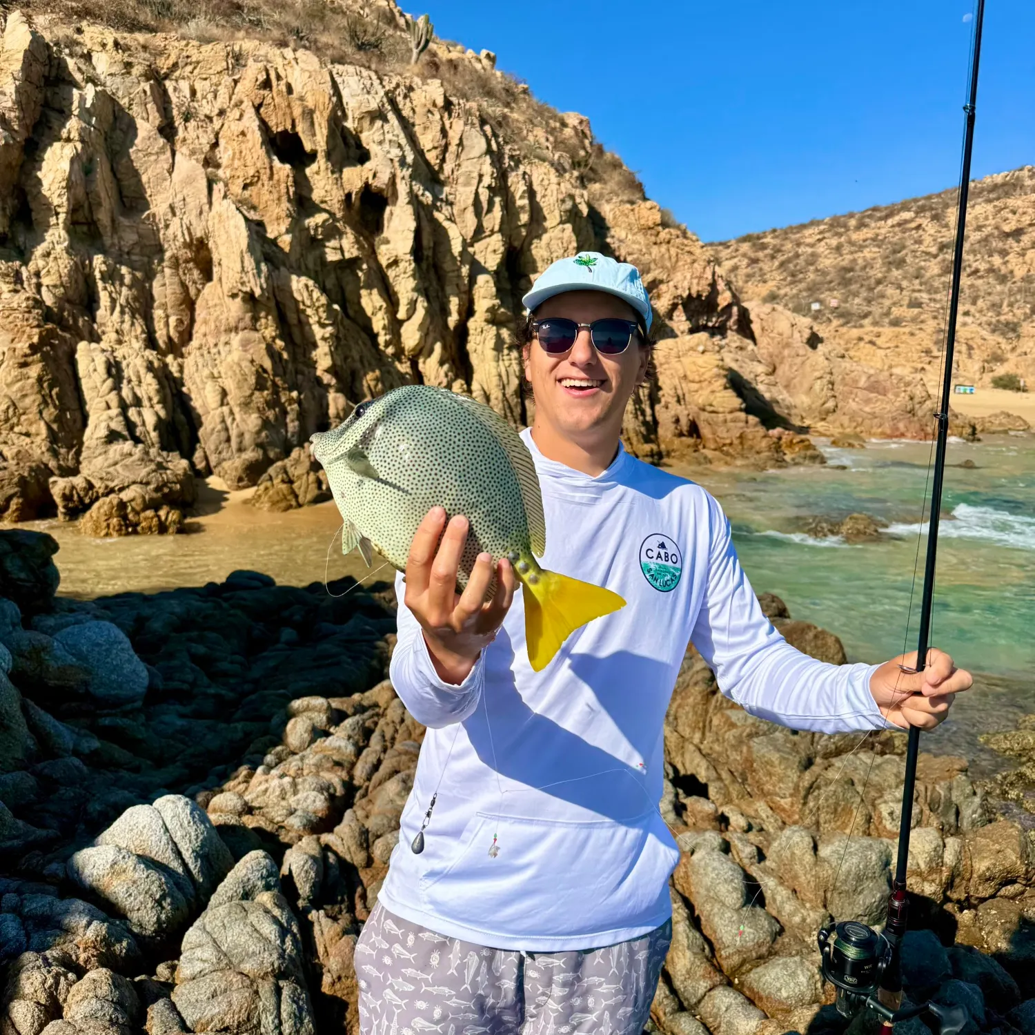 The most recent Yellowfin surgeonfish catches on Fishbrain