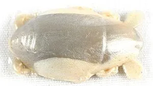 Gulp!® Sand Crab Flea