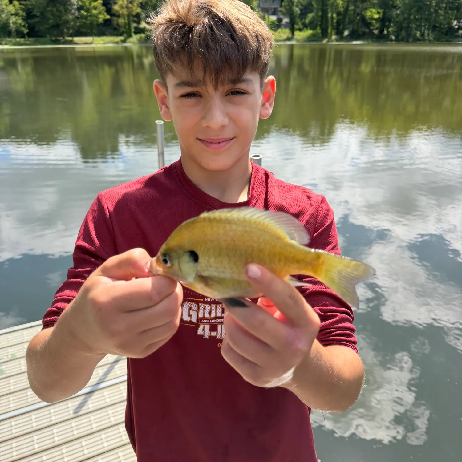 Bluegill caught on Fishbrain