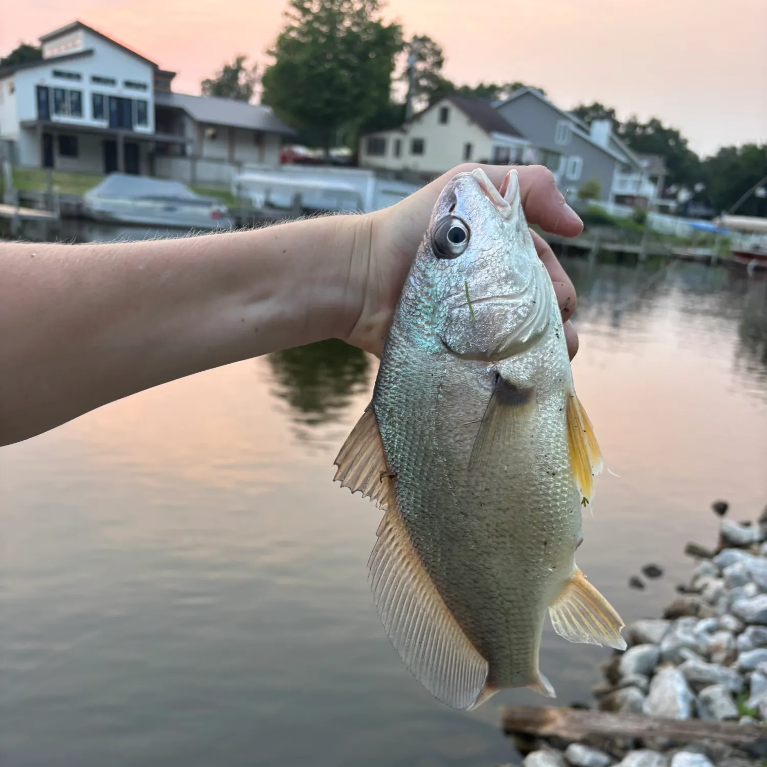 catch