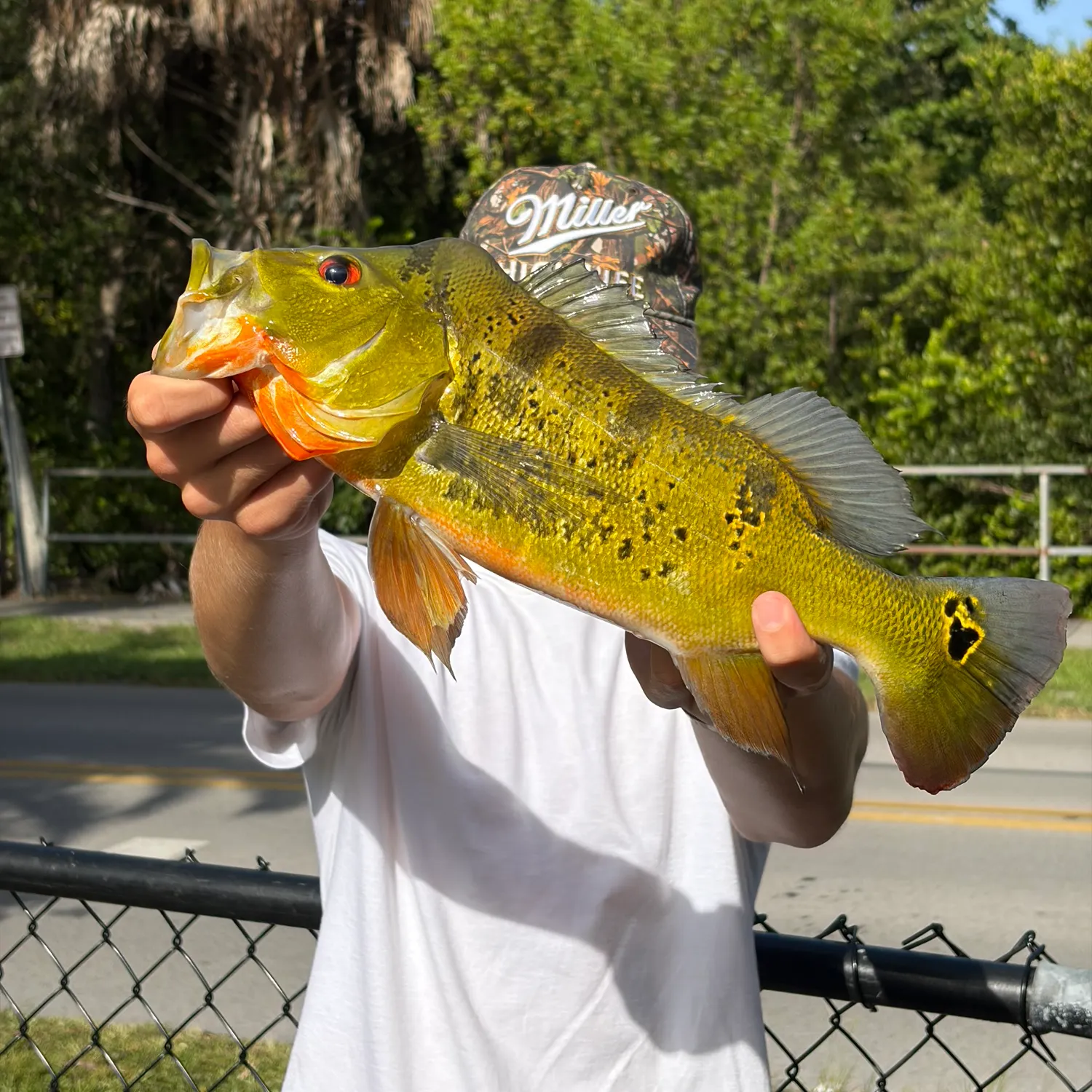 catch